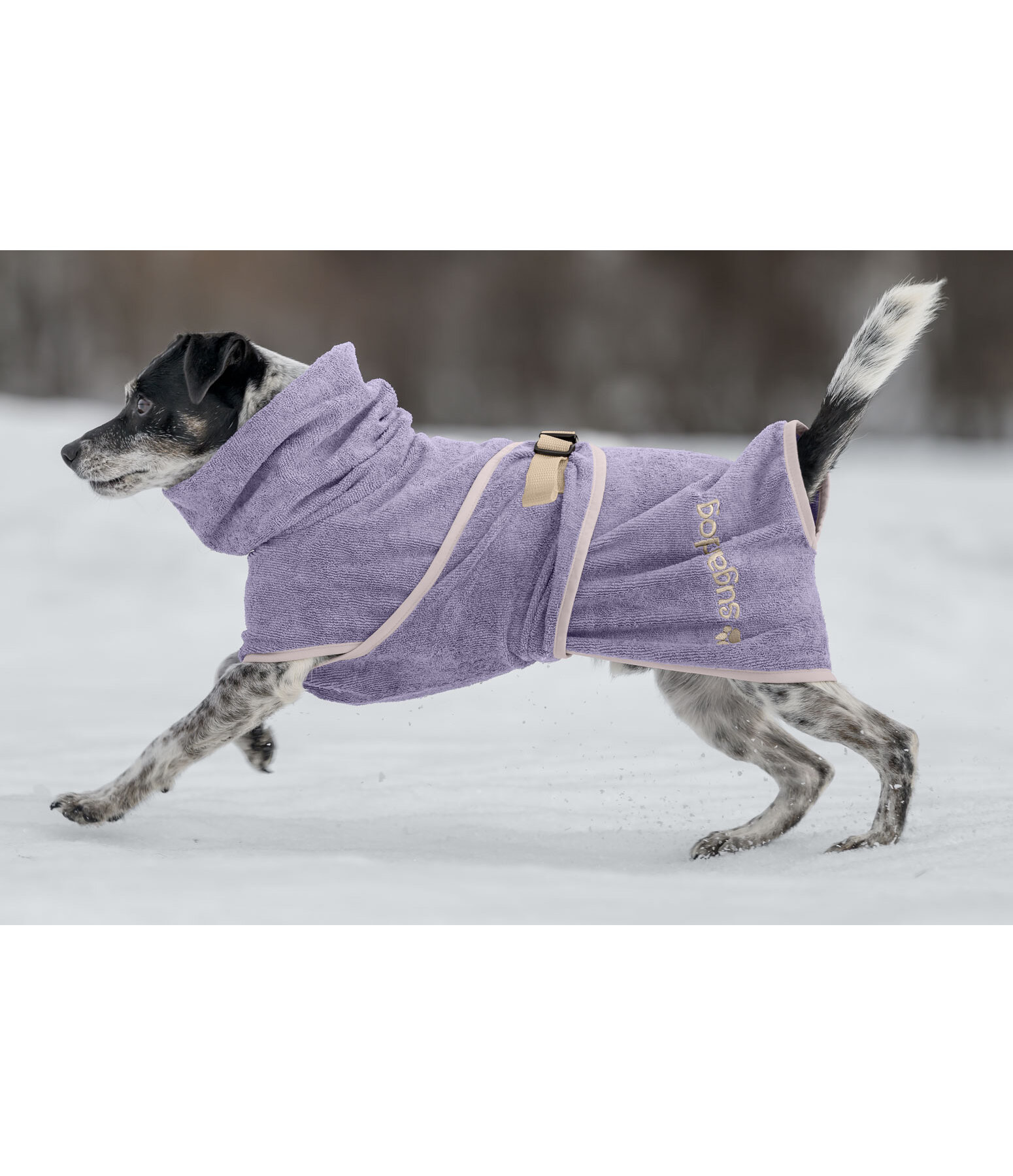 Drying Cape Dry Dog II