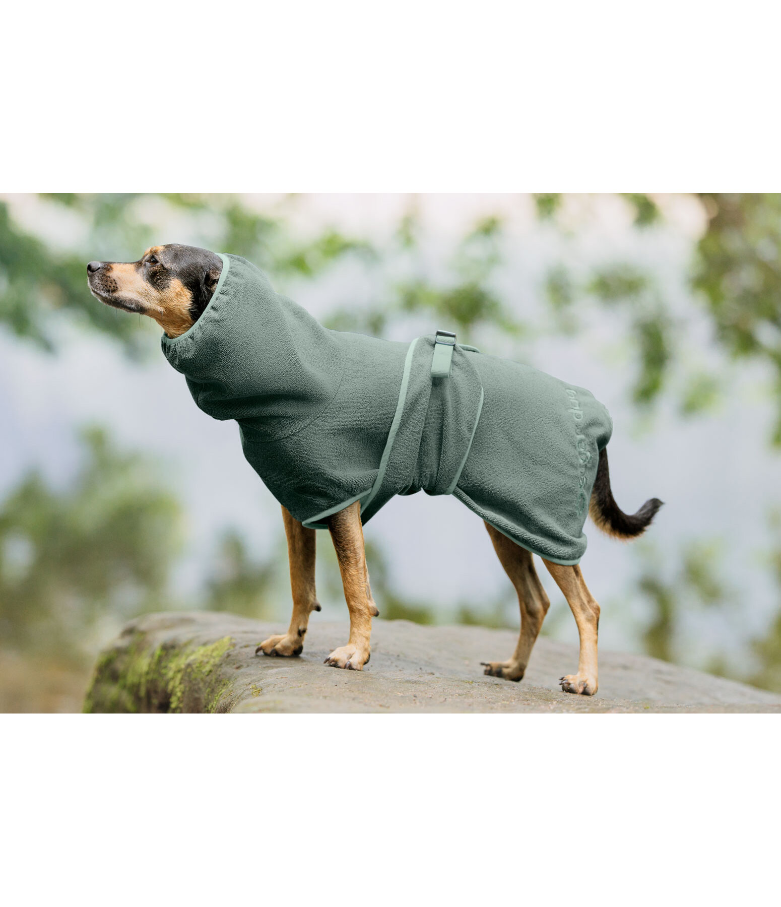 Drying Cape Dry Dog II