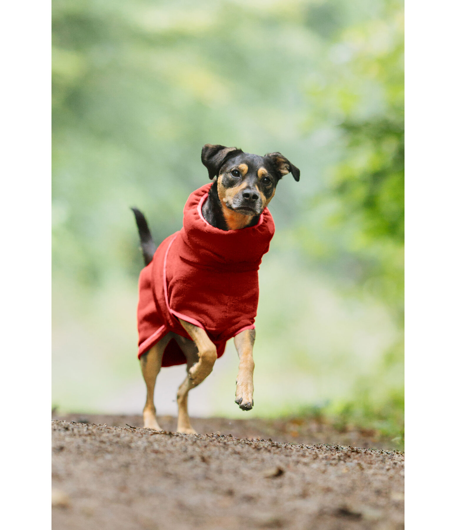 Drying Cape Dry Dog II