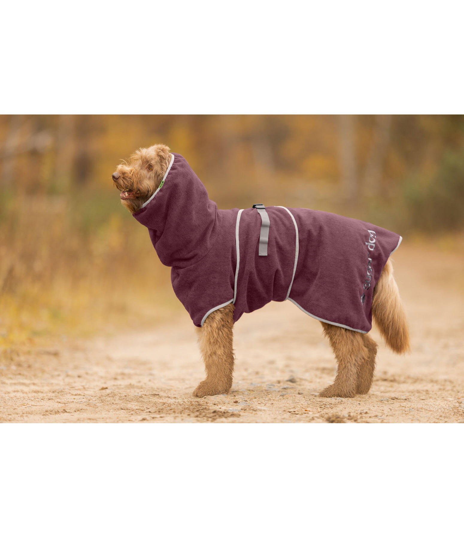 Drying Cape Dry Dog II