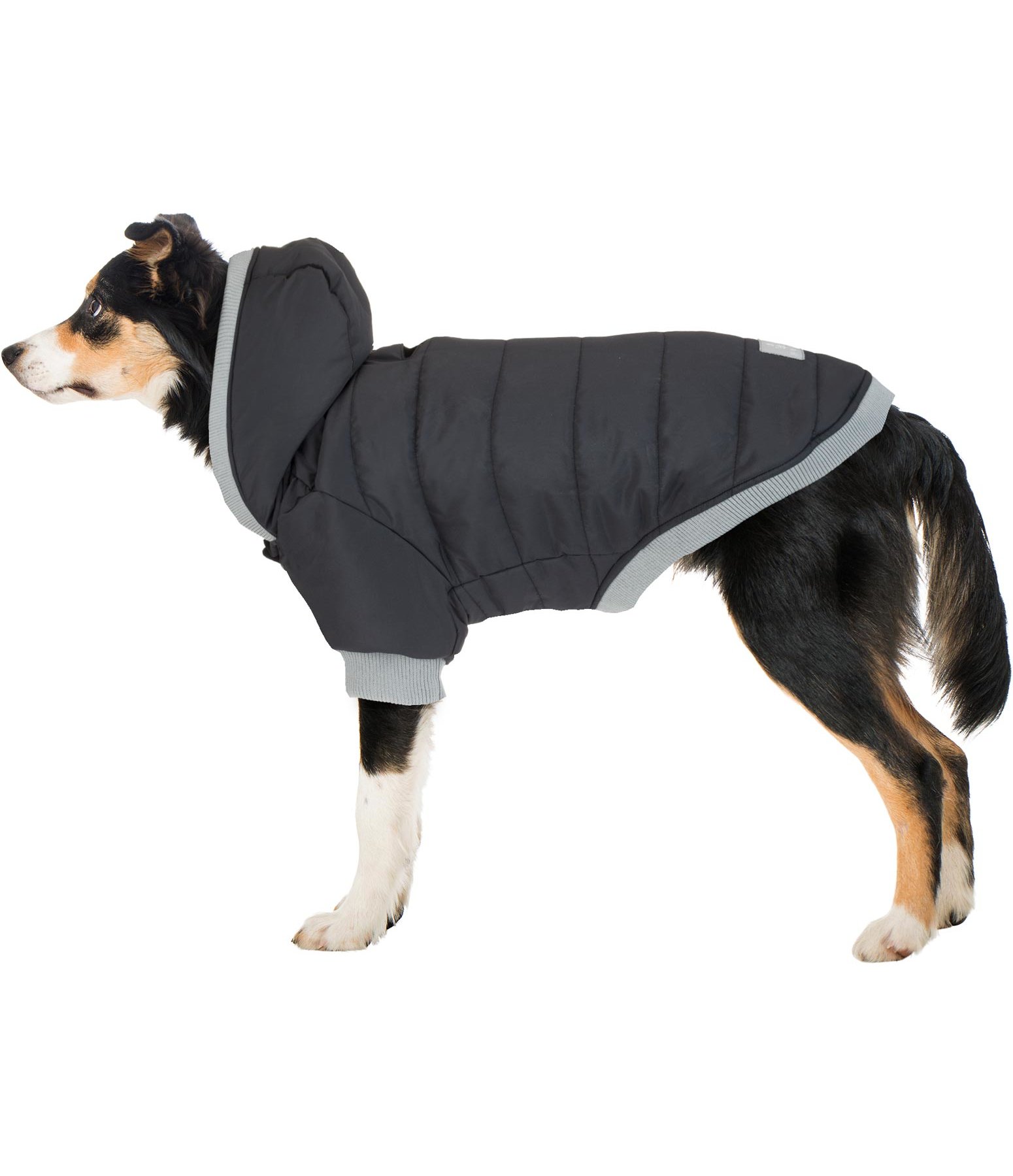 Quilted Dog Coat Blair, 200g Dog Coats Kramer Equestrian