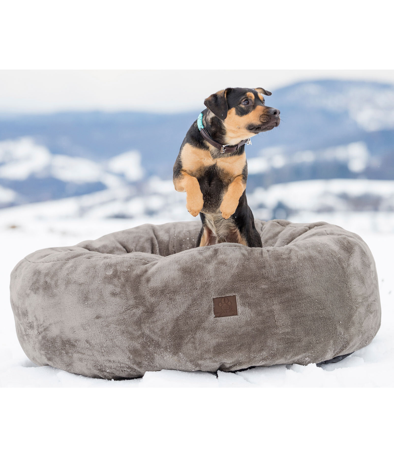 Teddy Fleece Dog Bed Quimba