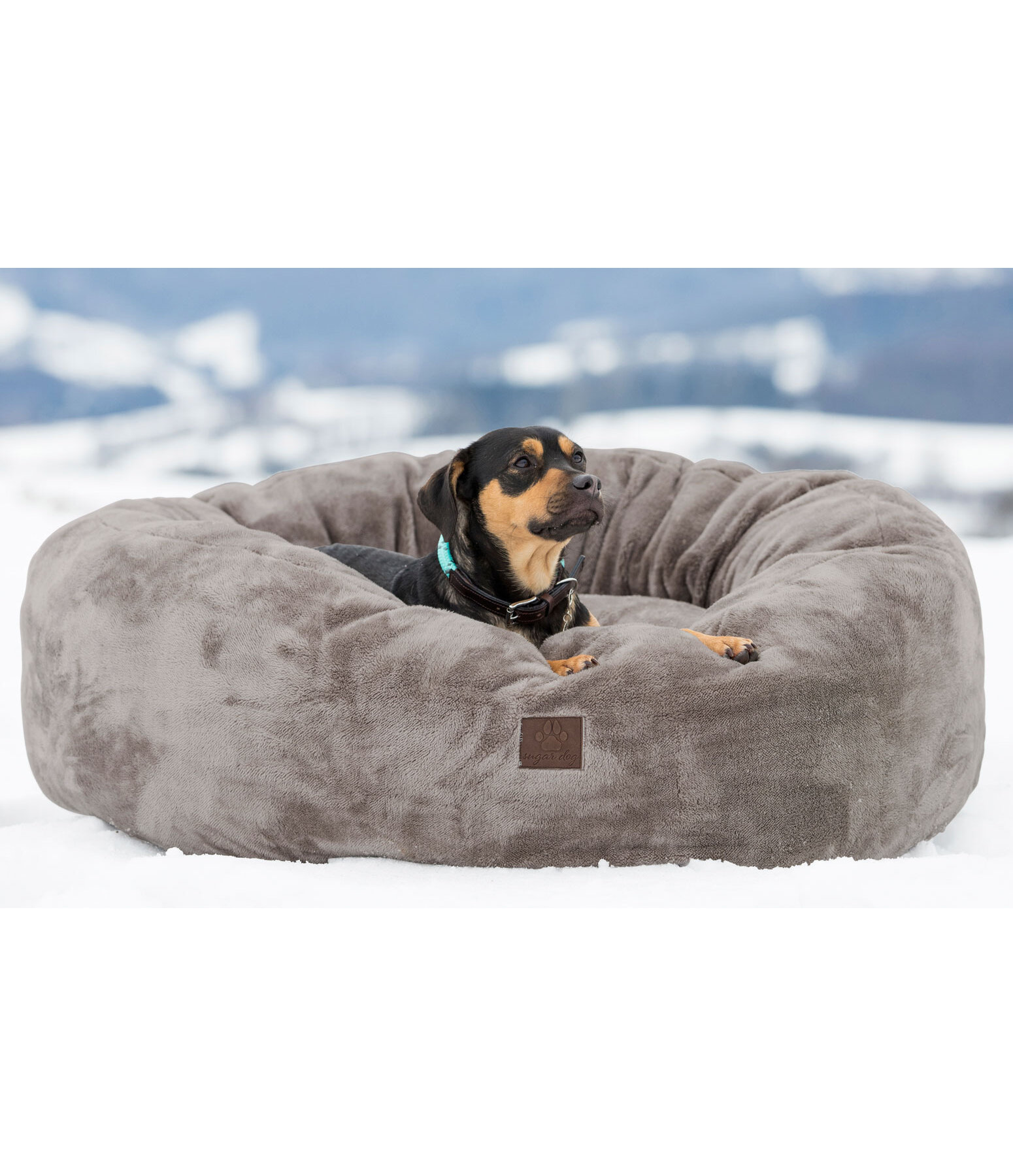 Teddy Fleece Dog Bed Quimba