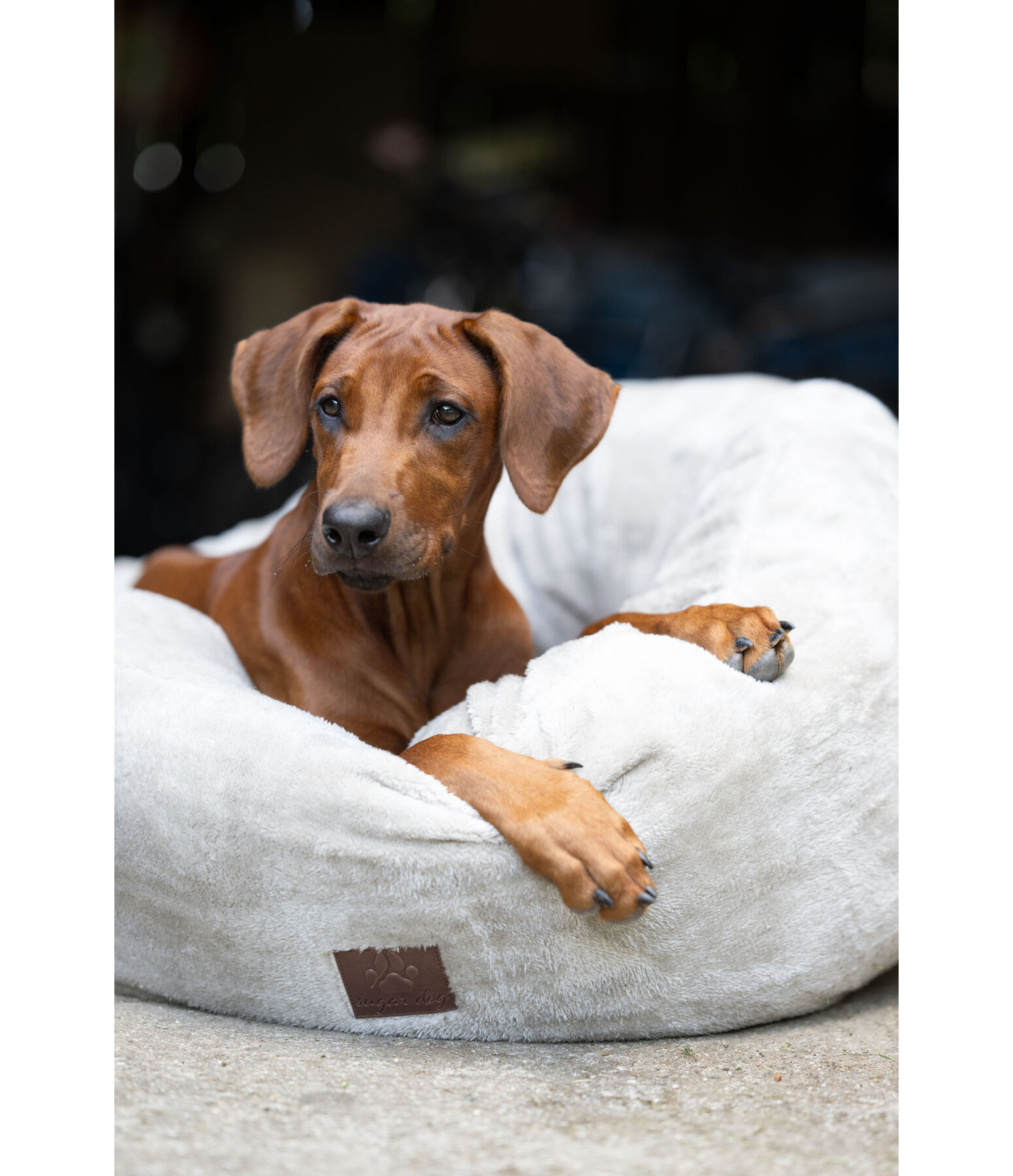 Teddy Fleece Dog Bed Quimba