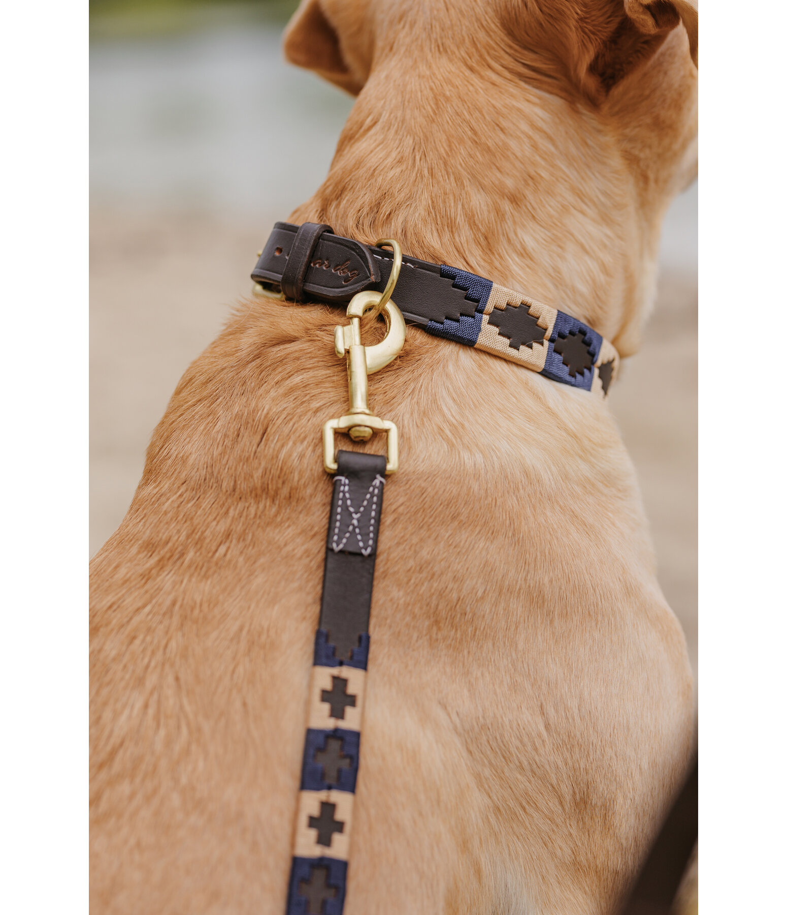 Leather Dog Collar and Lead Polo Sports