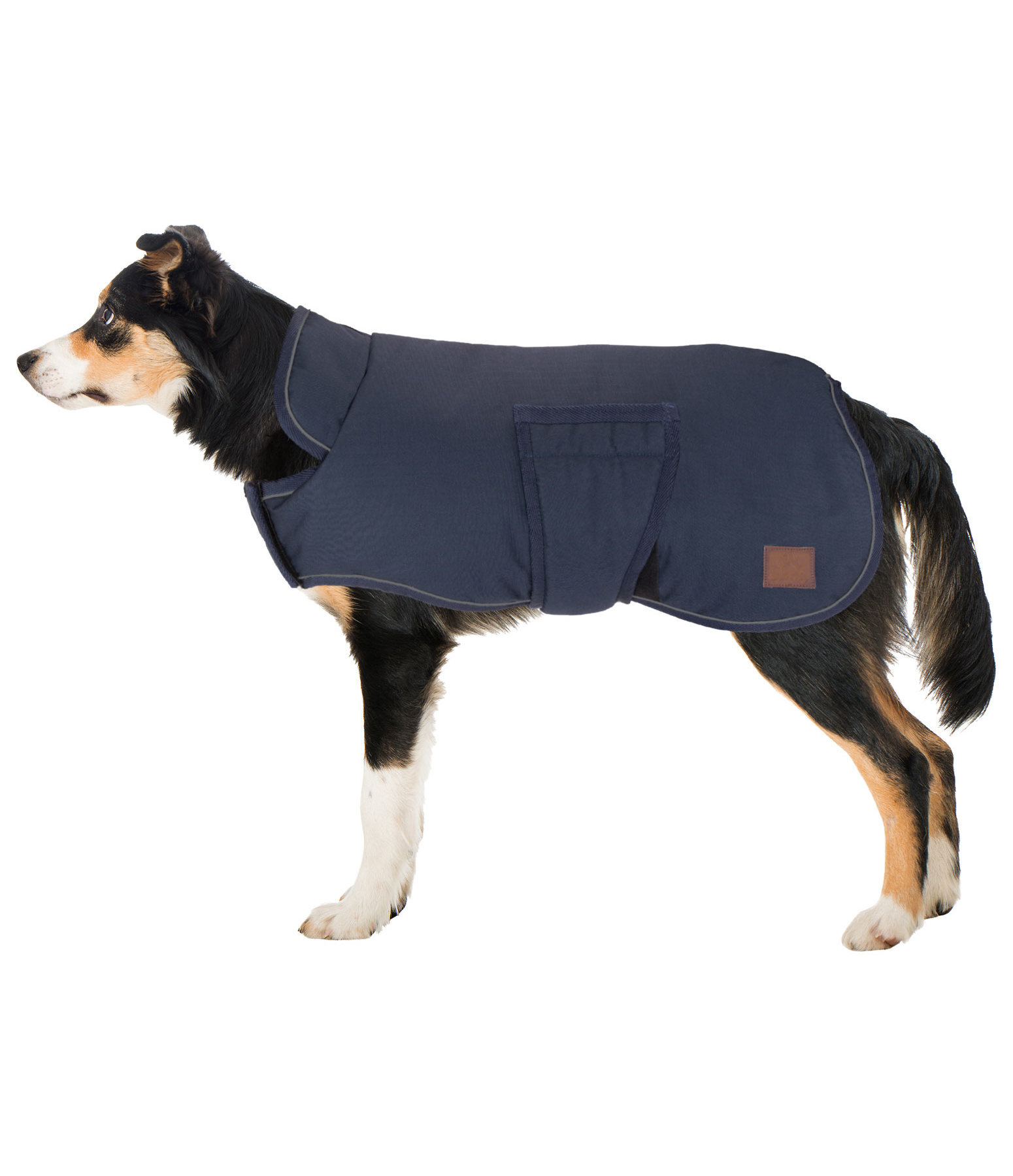 Winter Dog Coat Beaver Creek, 400g