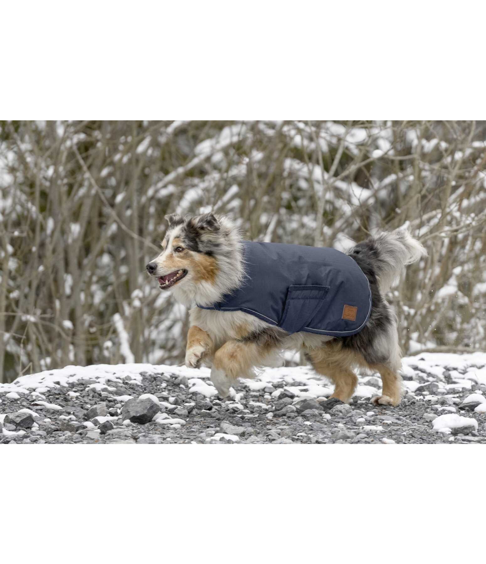 Winter Dog Coat Beaver Creek, 400g