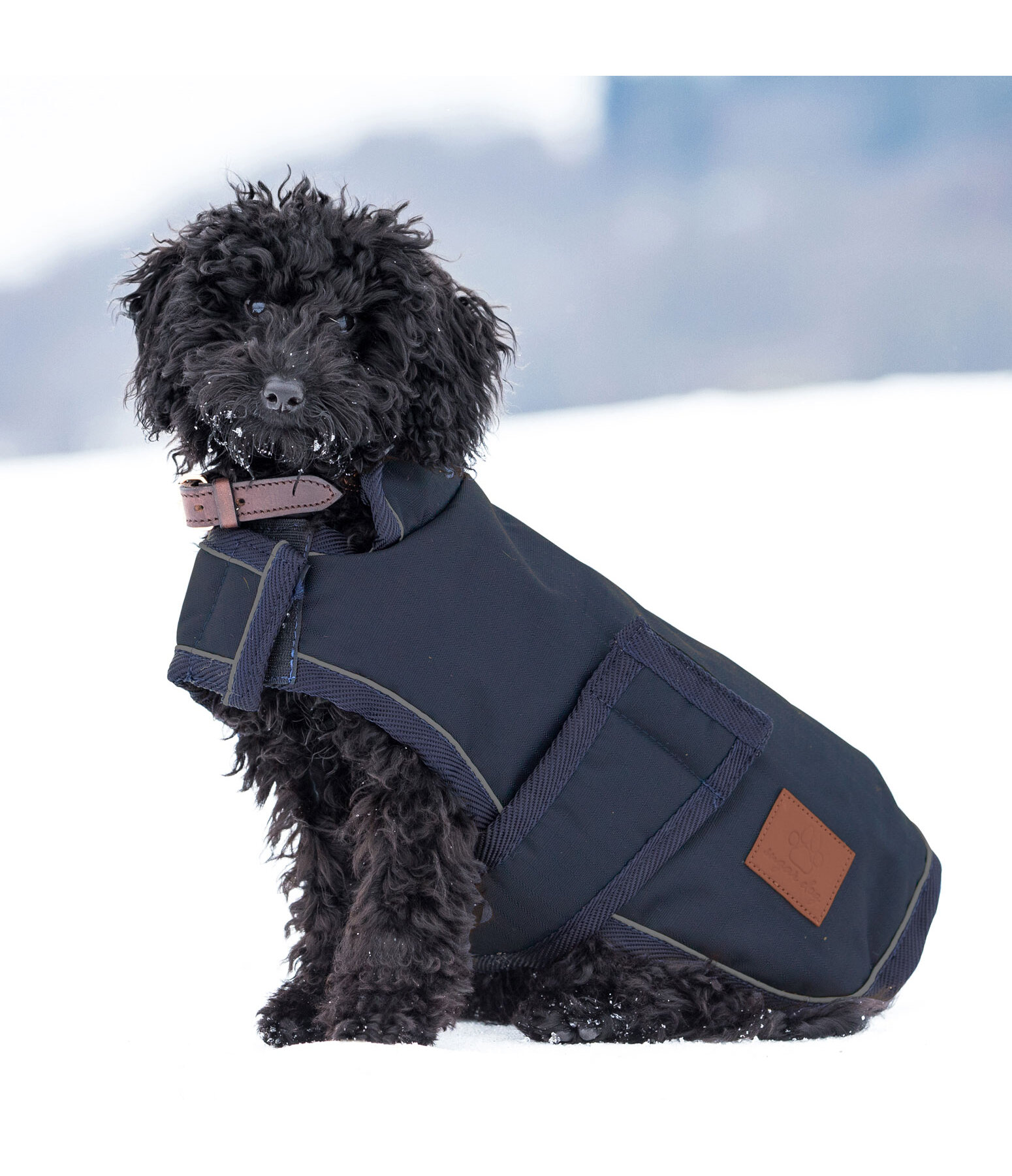 Winter Dog Coat Beaver Creek, 400g