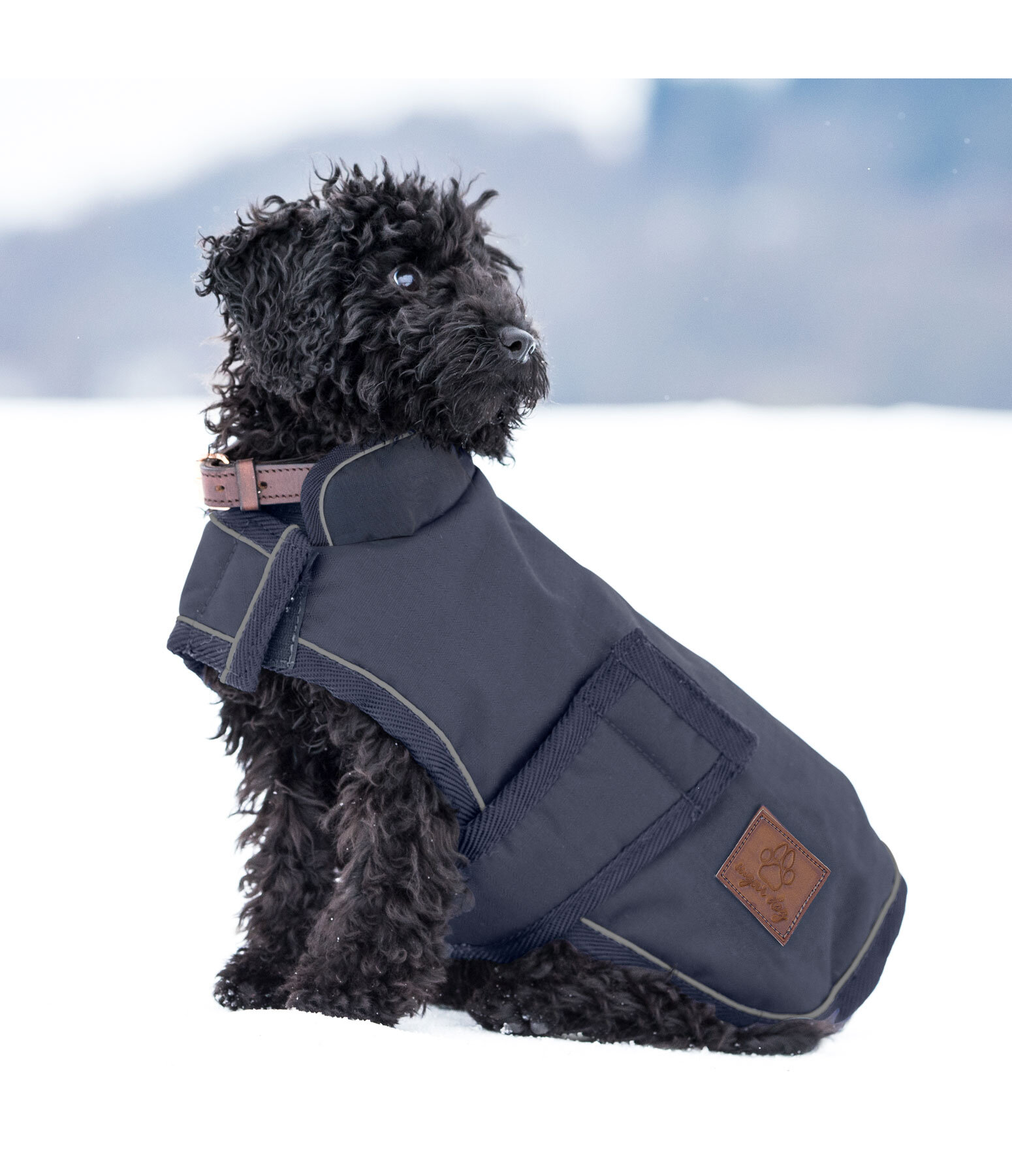 Winter Dog Coat Beaver Creek, 400g