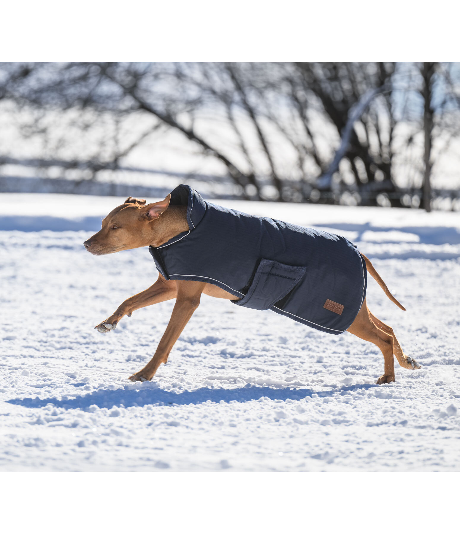 Winter Dog Coat Beaver Creek, 400g