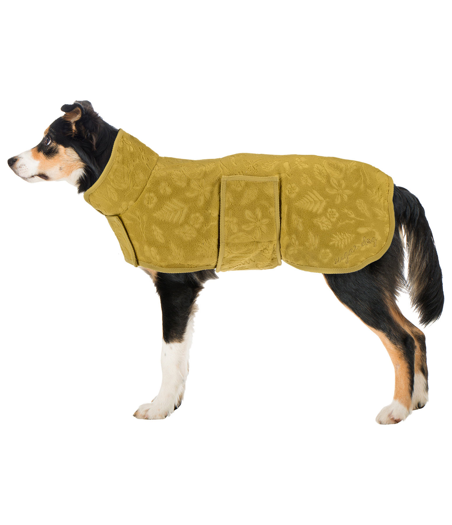sun reflective dog coat