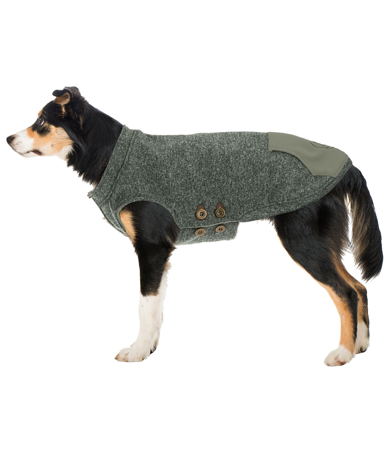 Dog Sweater Seb