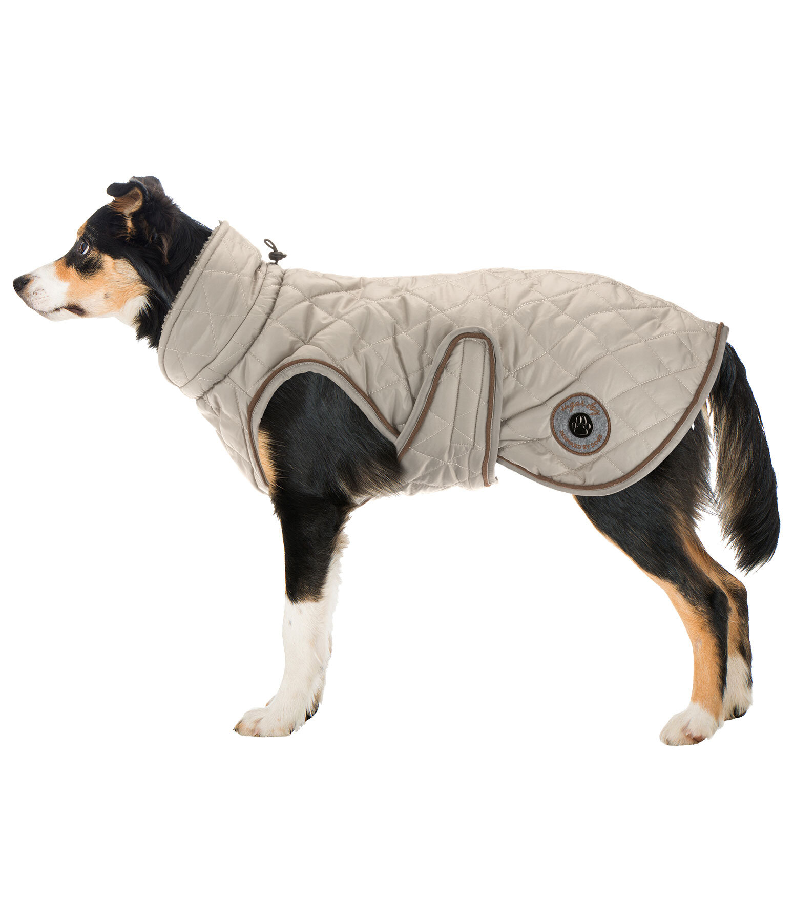 Dog Coat Archie with Teddy Fleece Lining, 160 g