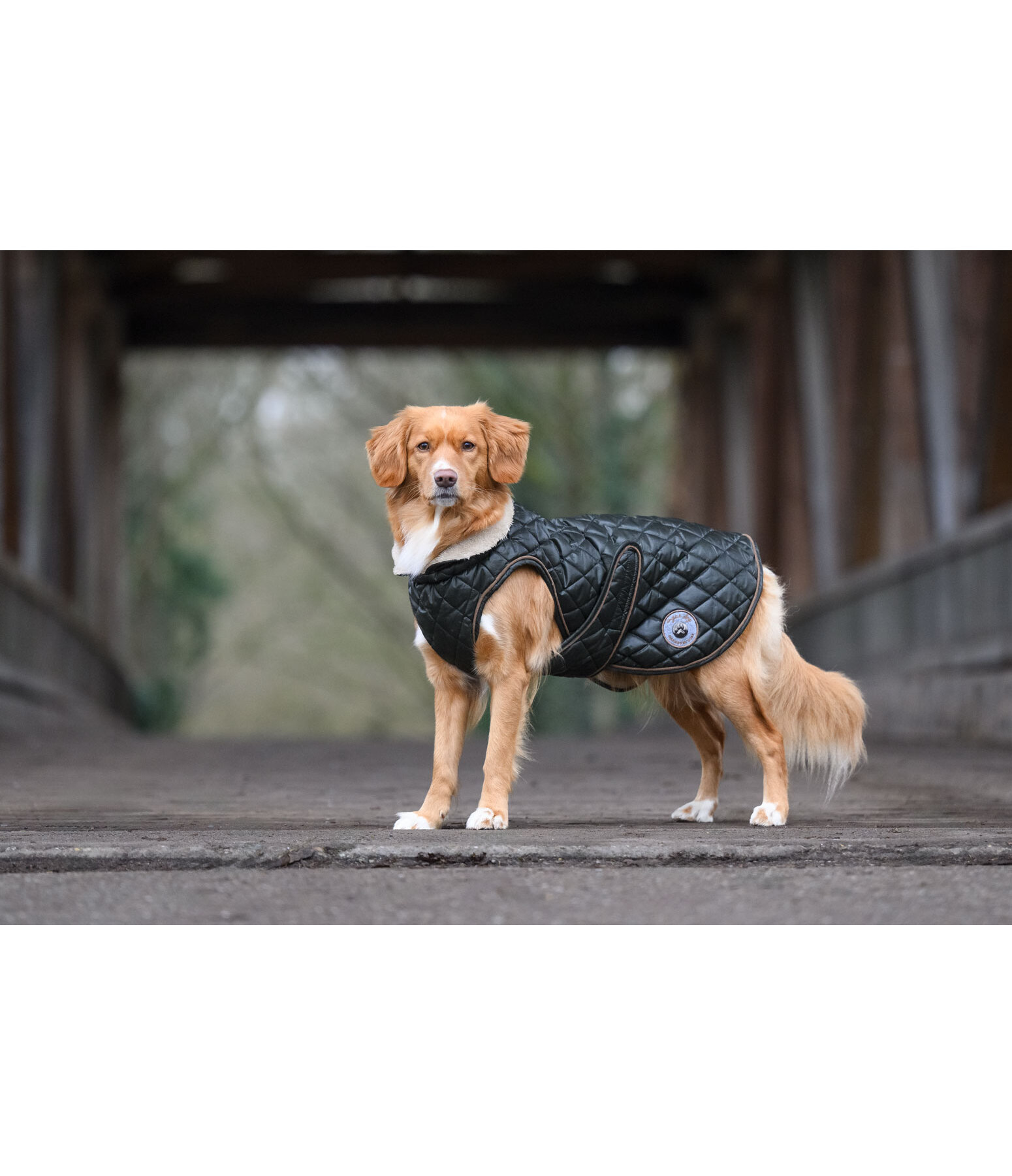 Dog Coat Archie with Teddy Fleece Lining, 160 g