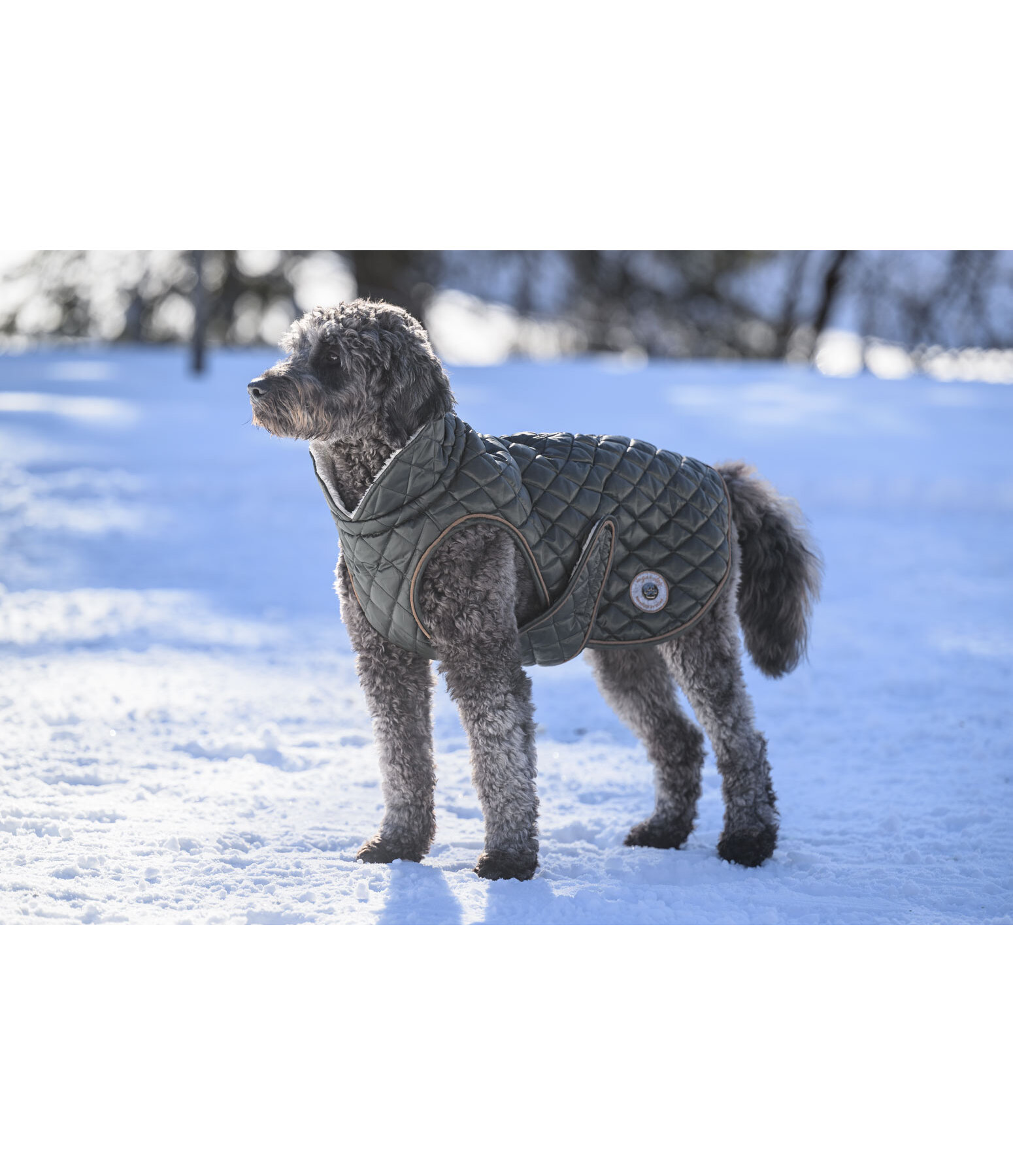 Dog Coat Archie with Teddy Fleece Lining, 160 g