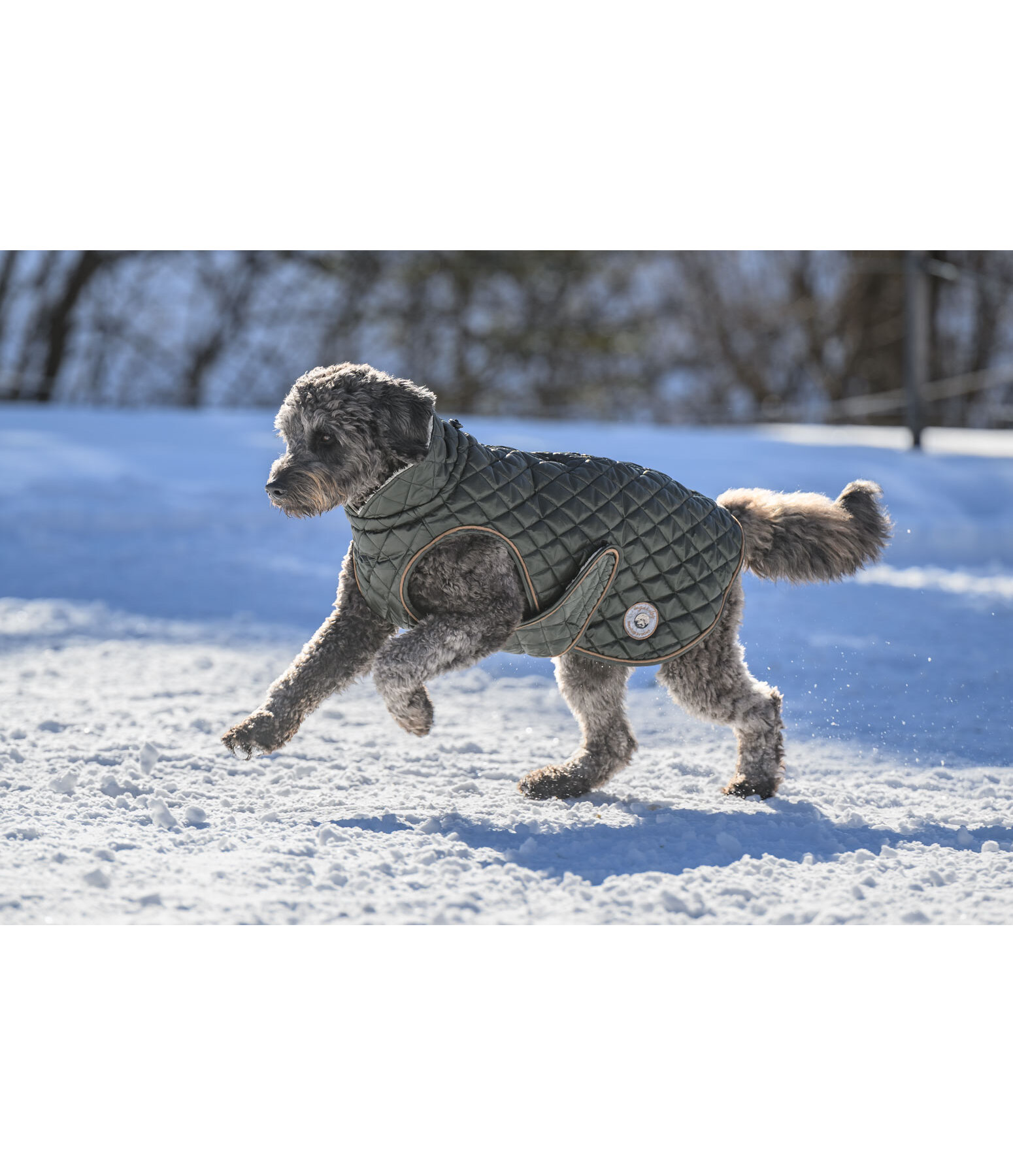 Dog Coat Archie with Teddy Fleece Lining, 160 g