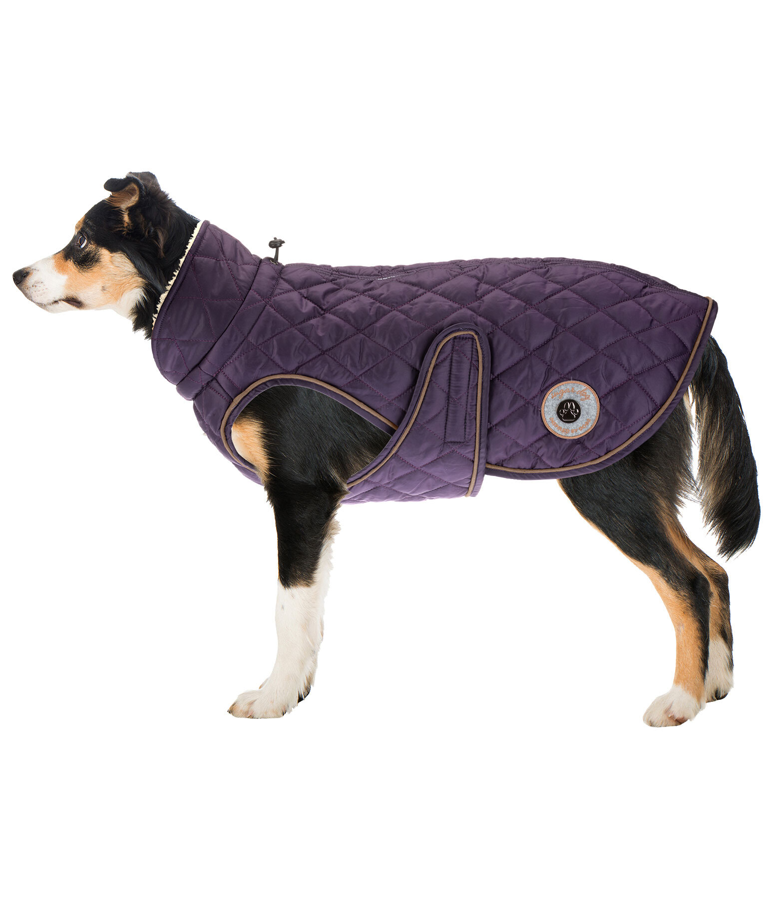 Dog Coat Archie with Teddy Fleece Lining, 160 g