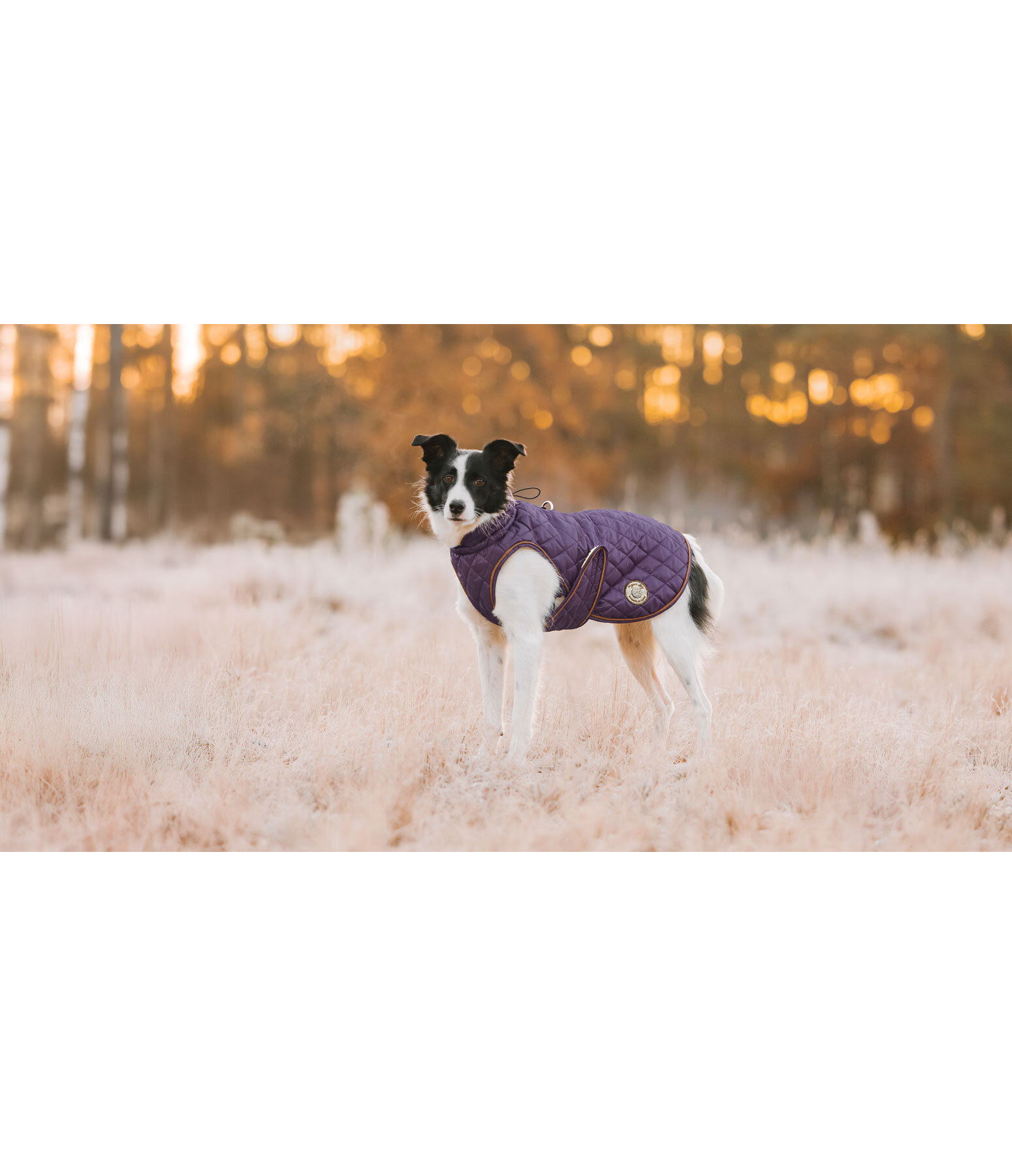 Dog Coat Archie with Teddy Fleece Lining, 160 g