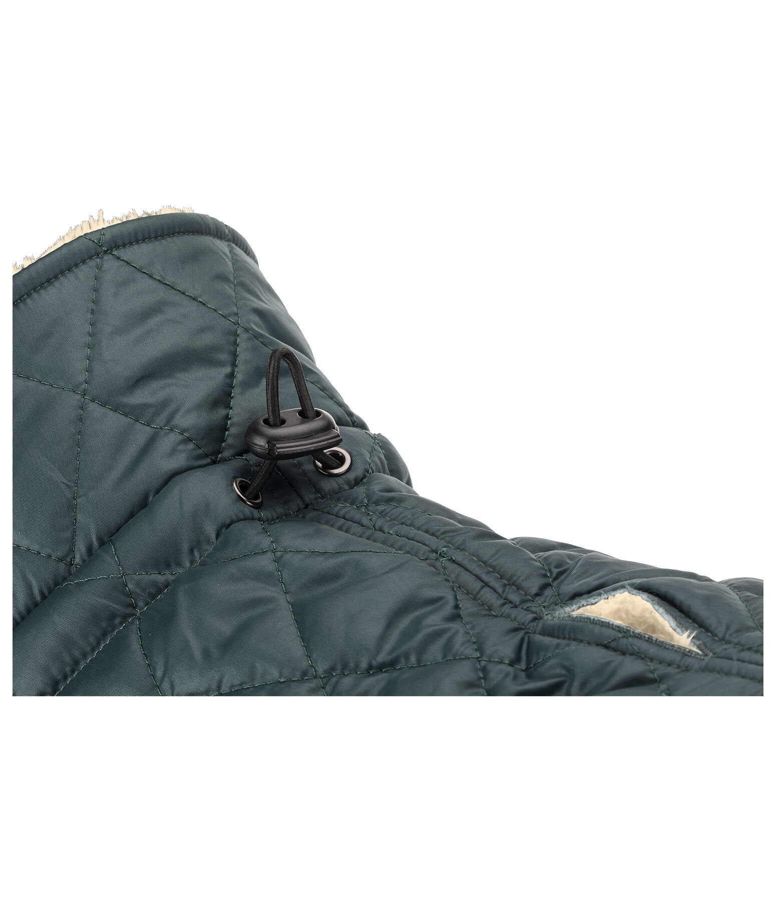 Dog Coat Archie with Teddy Fleece Lining, 160 g