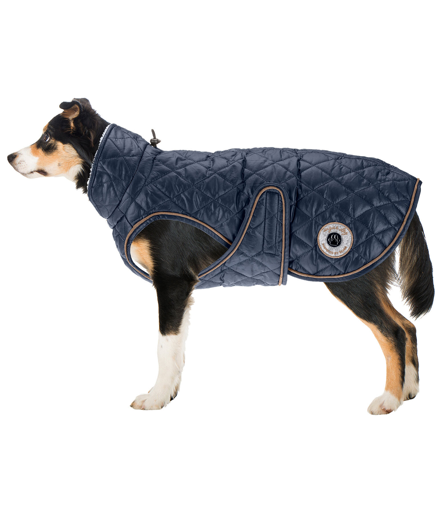Dog Coat Archie with Teddy Fleece Lining, 160 g