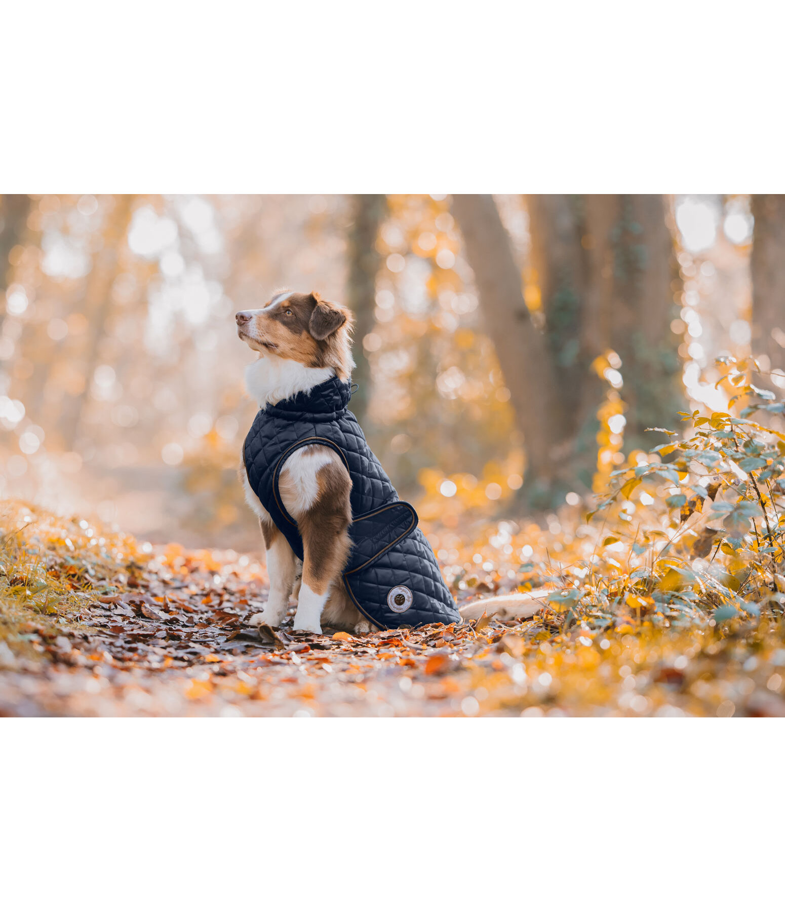 Dog Coat Archie with Teddy Fleece Lining, 160 g