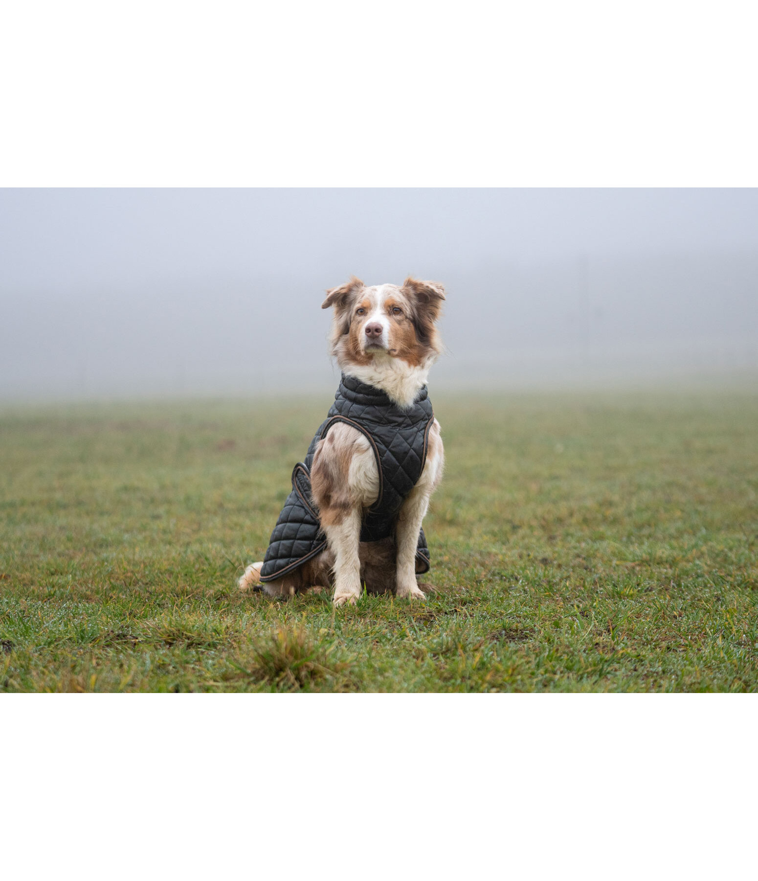 Dog Coat Archie with Teddy Fleece Lining, 160 g