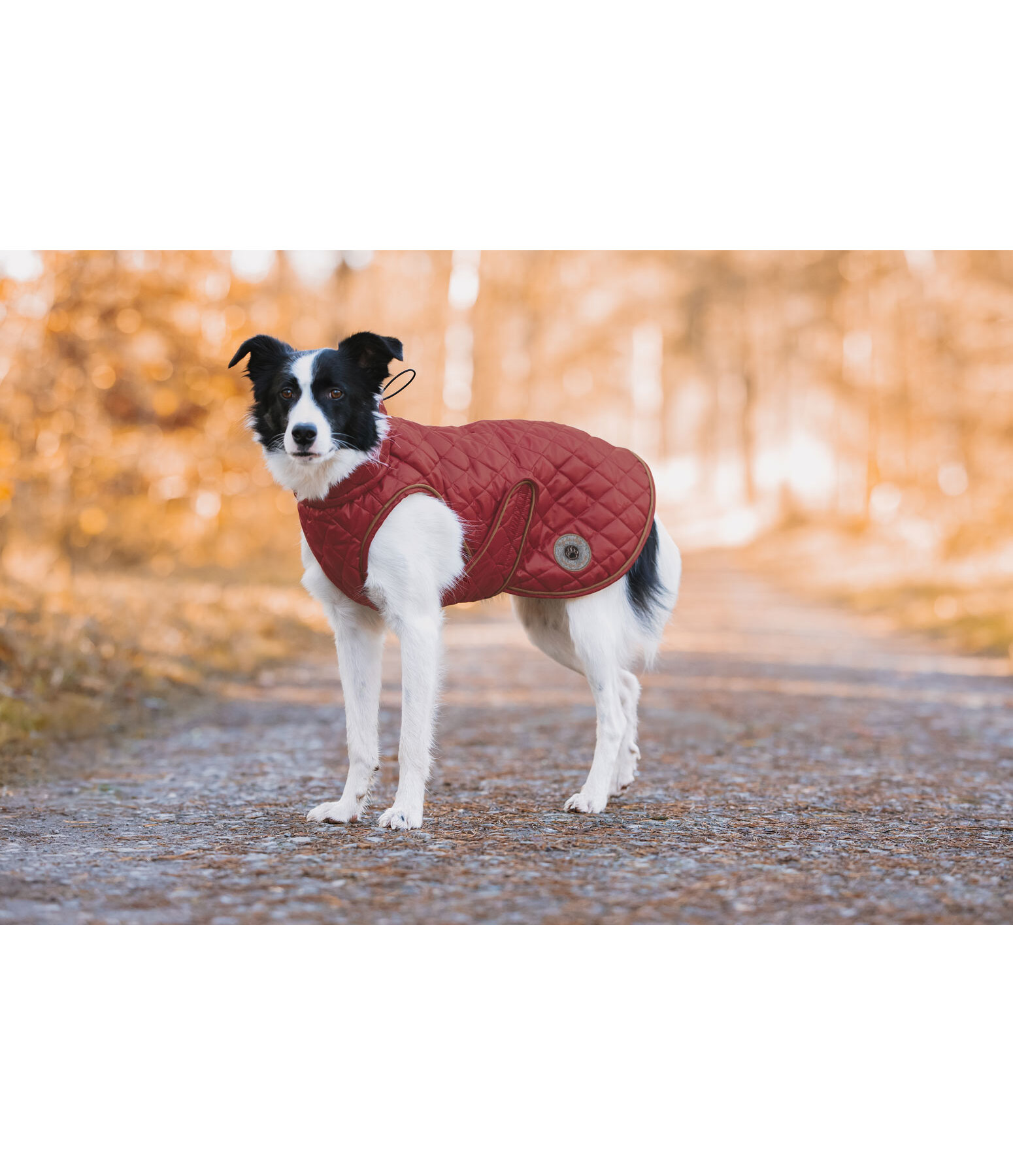 Dog Coat Archie with Teddy Fleece Lining, 160 g