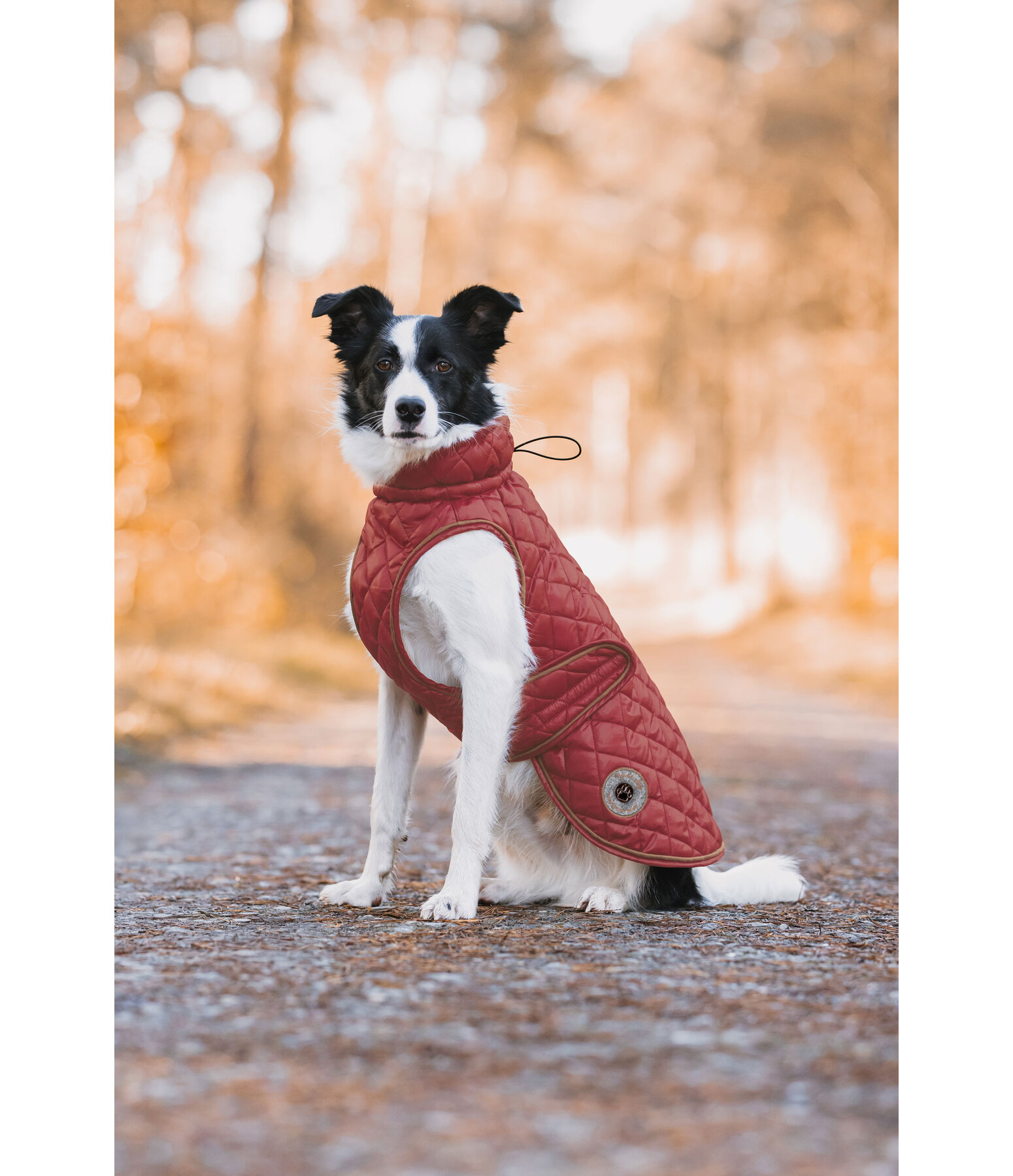 Dog Coat Archie with Teddy Fleece Lining, 160 g
