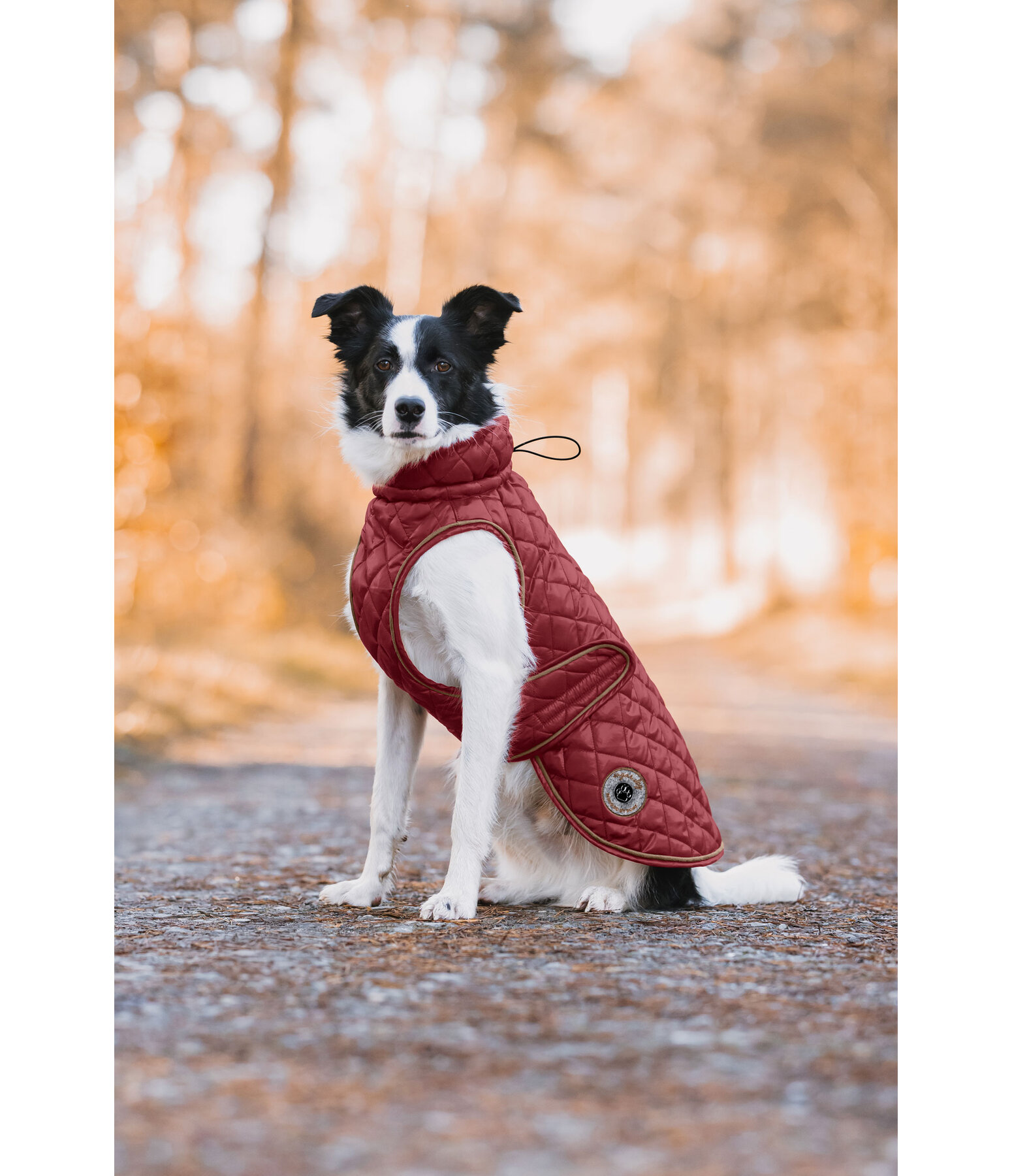 Dog Coat Archie with Teddy Fleece Lining, 160 g