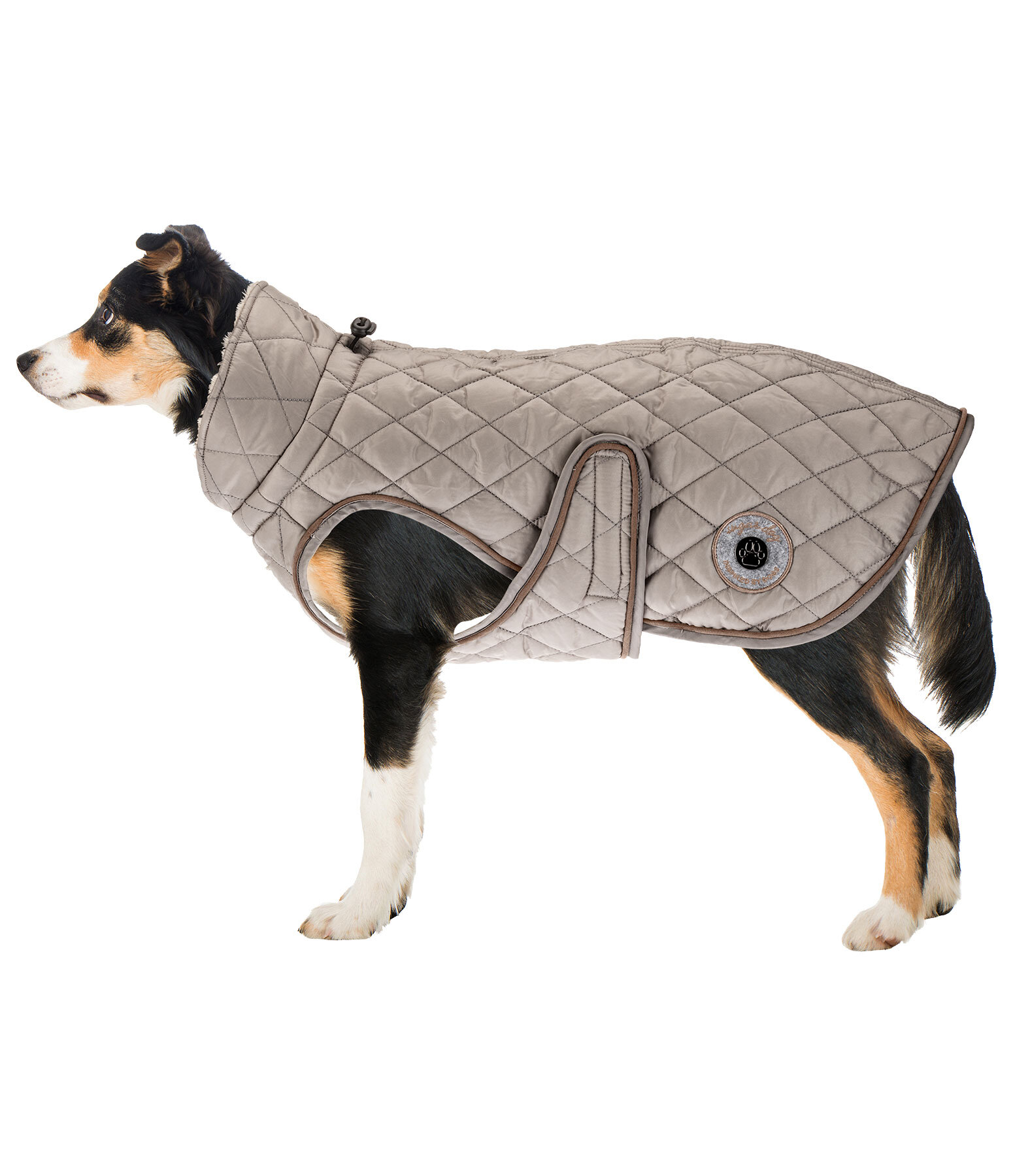 Dog Coat Archie with Teddy Fleece Lining, 160 g