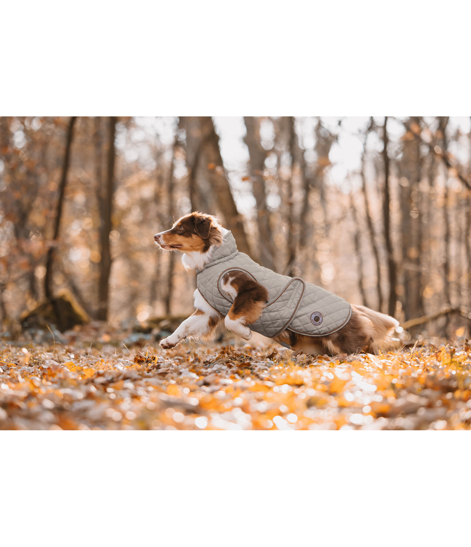 Dog Coat Archie with Teddy Fleece Lining, 160 g