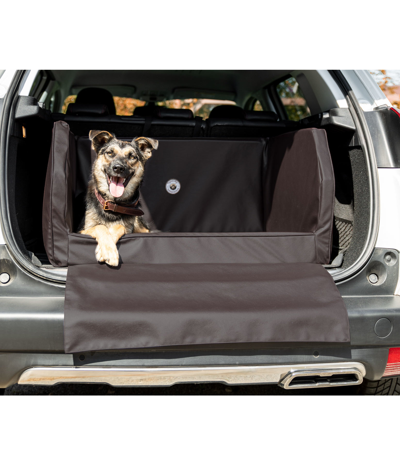 Boot dog bed clearance