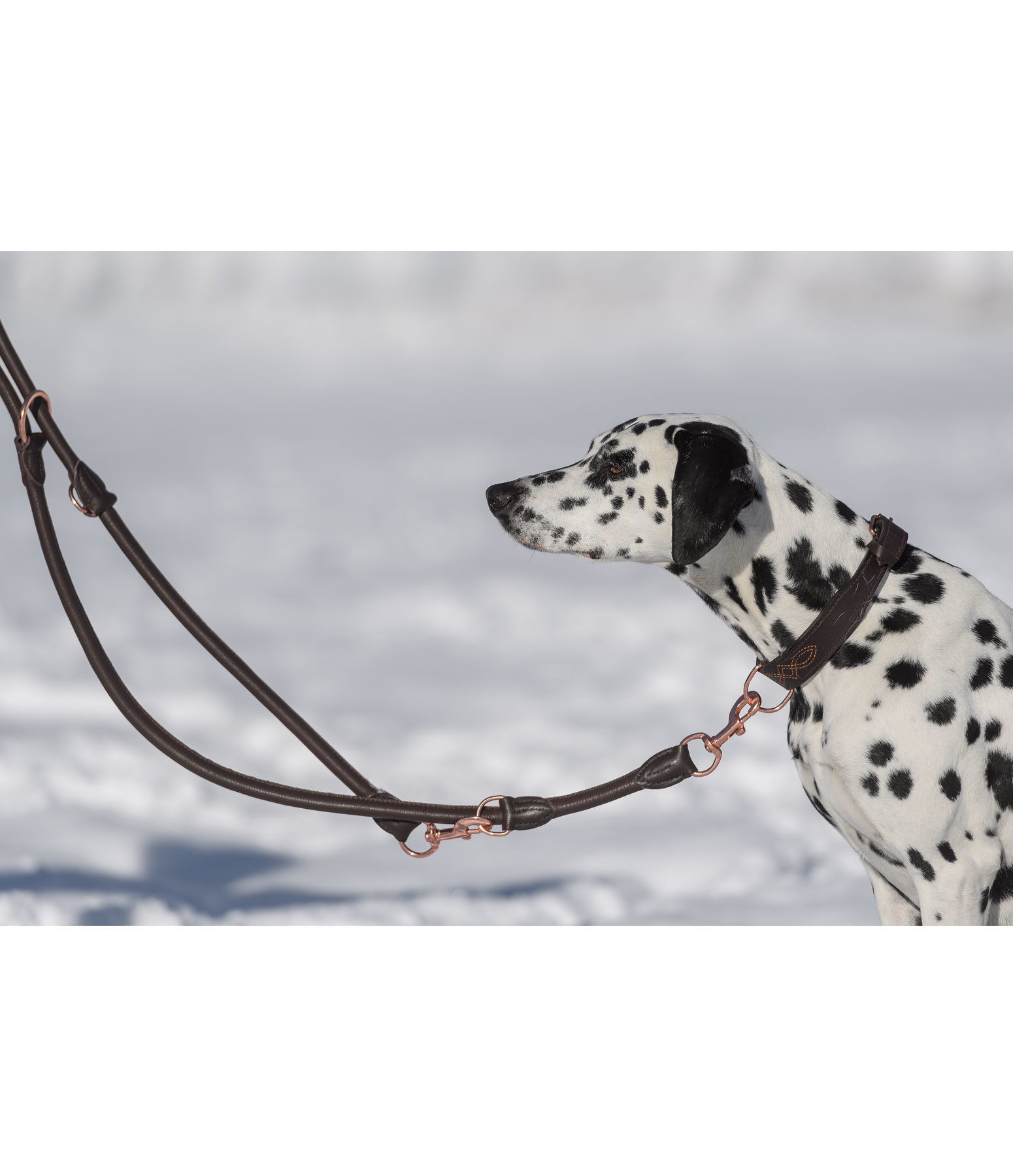 Round Leather Dog Lead Certaldo