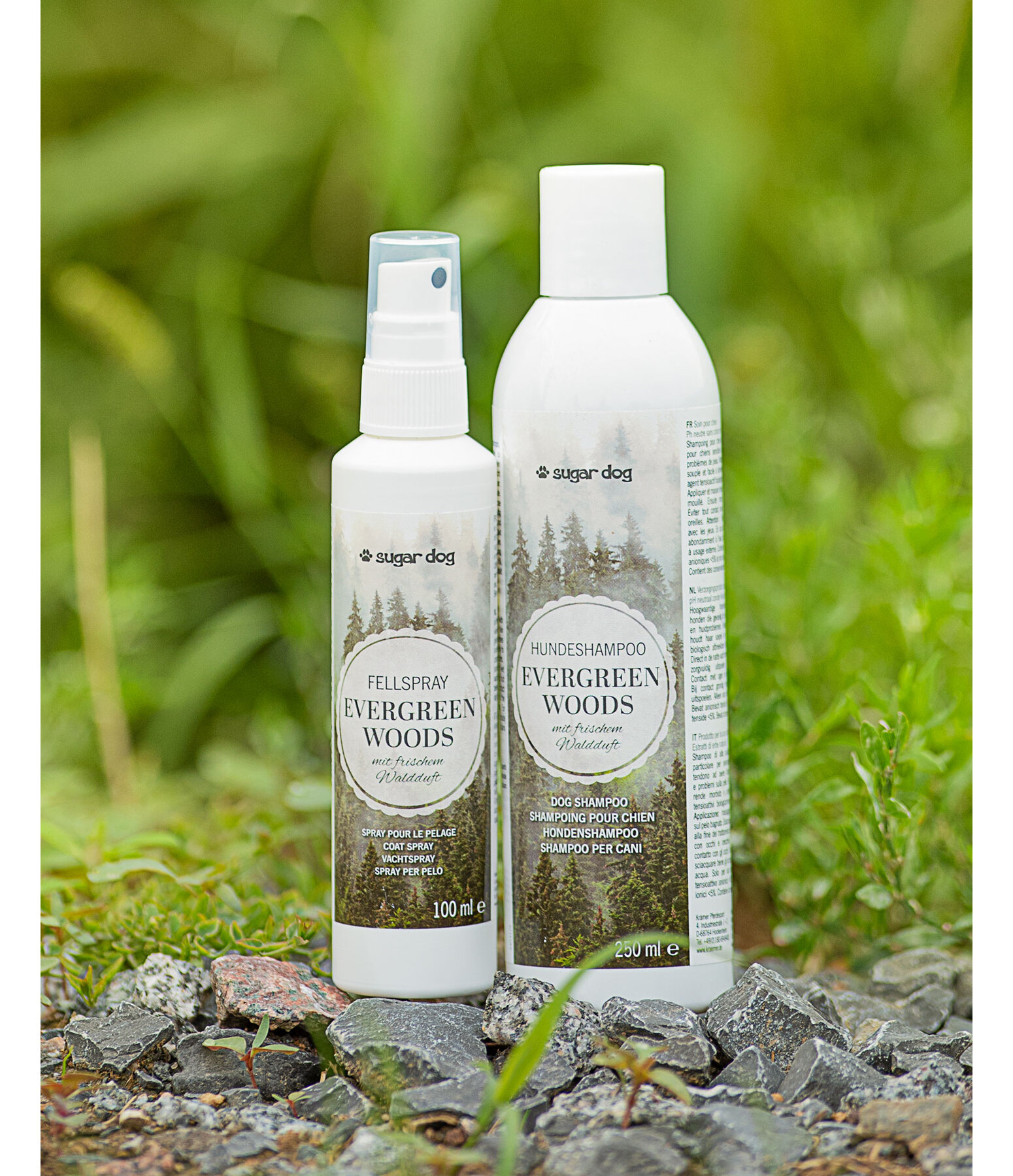 Dog Shampoo Evergreen Woods