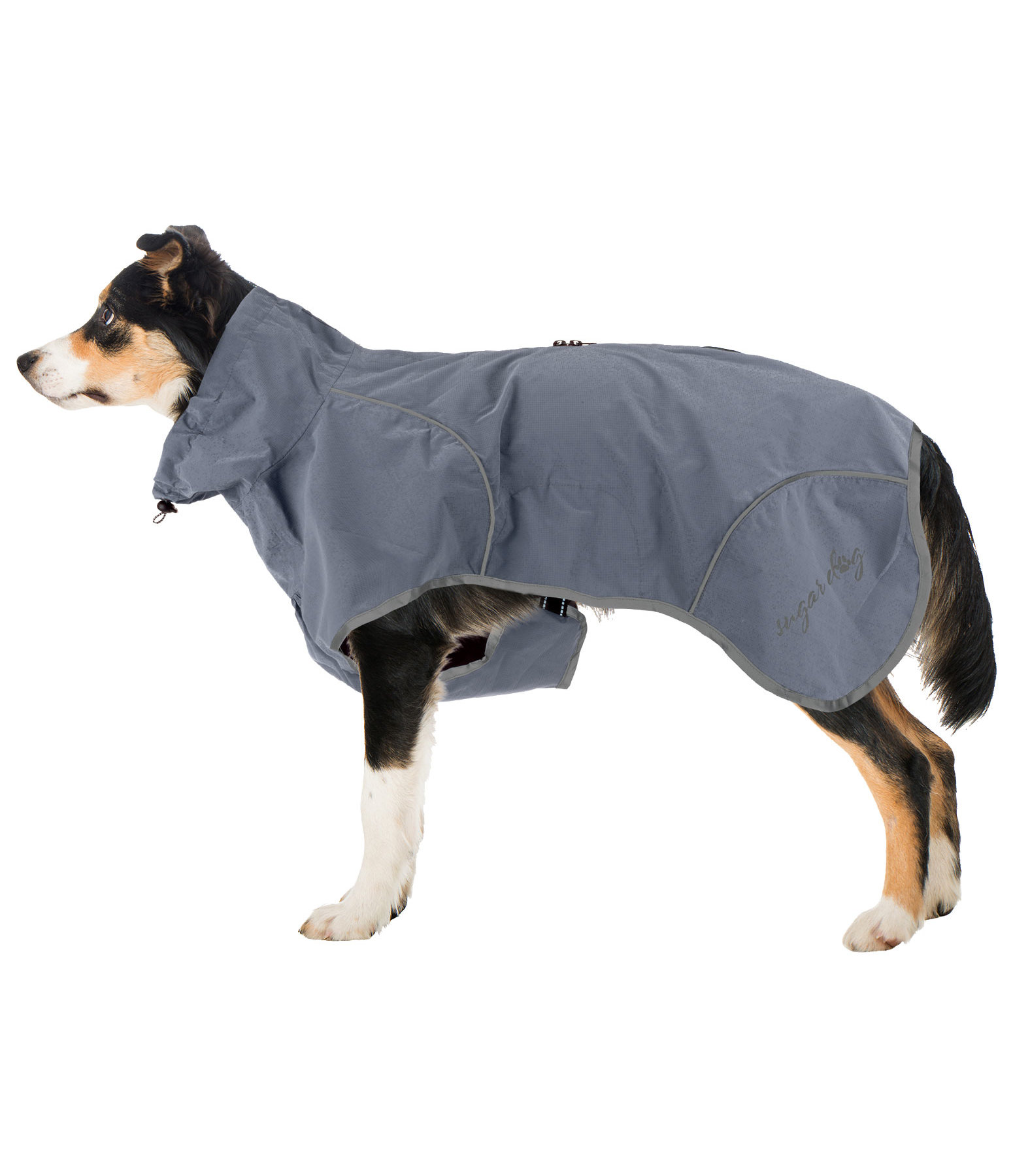 Manteau store chien pluie