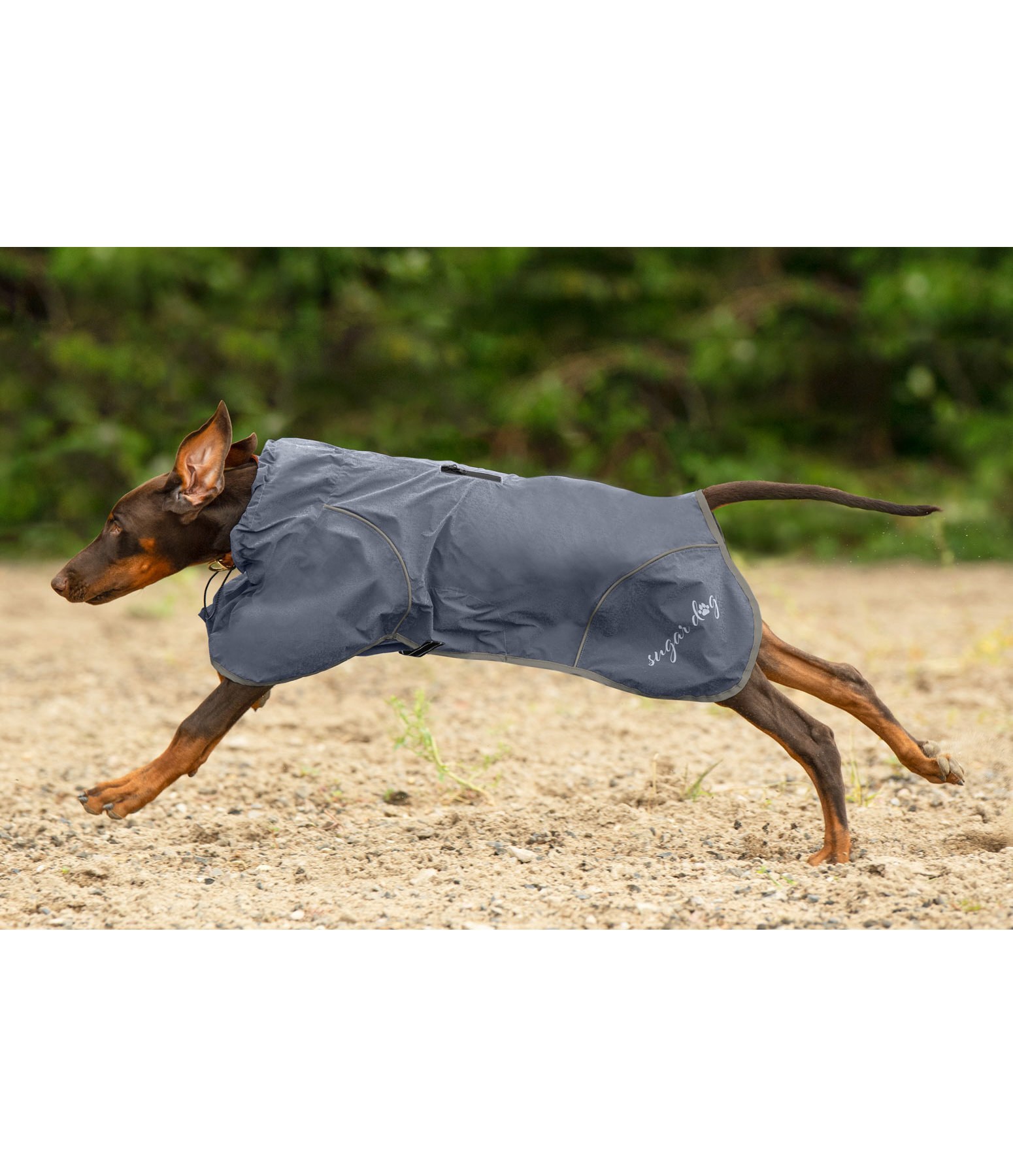 Dog Rain Coat Sequoia