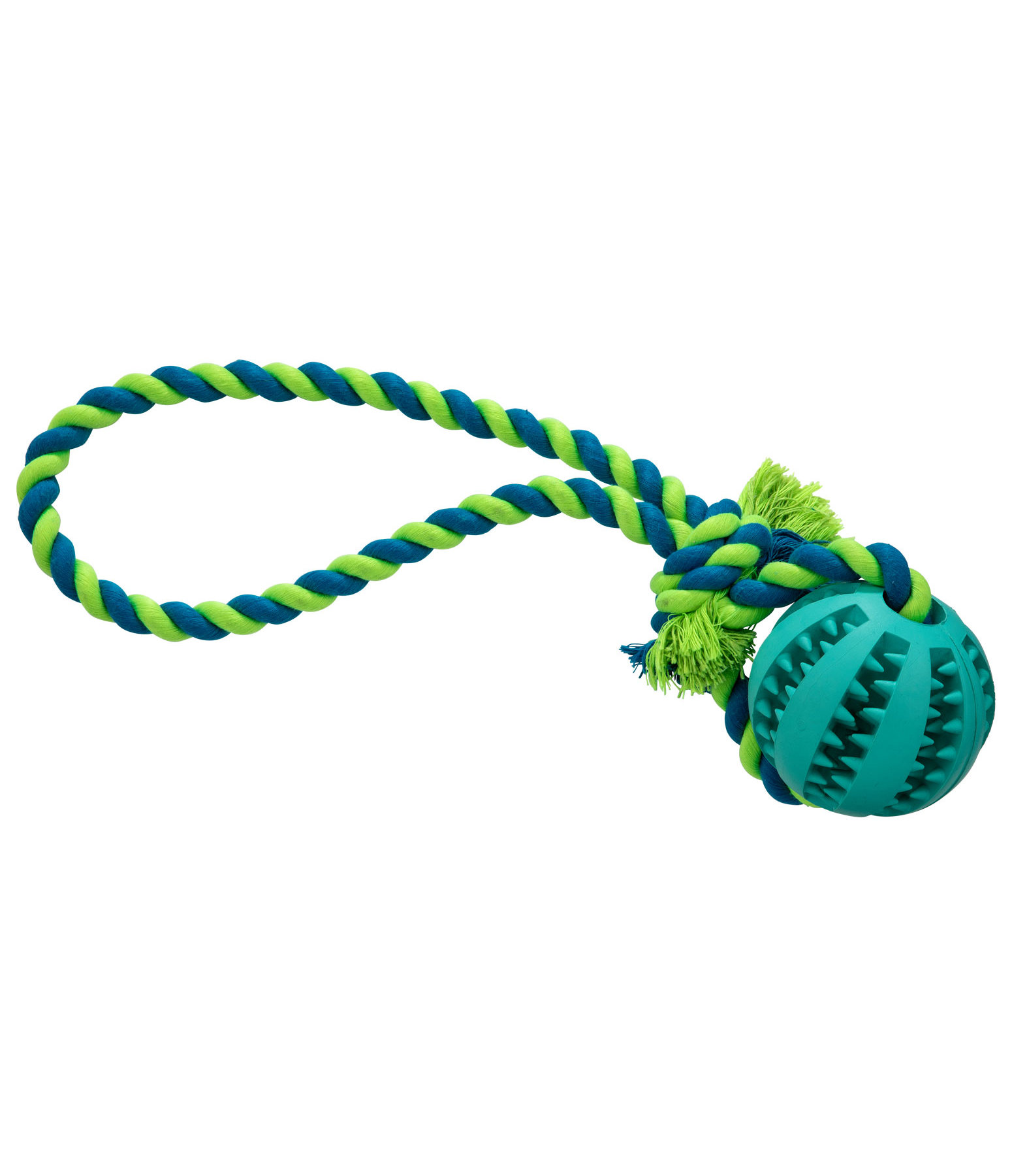 Toothbrush Dog Toy Cleo