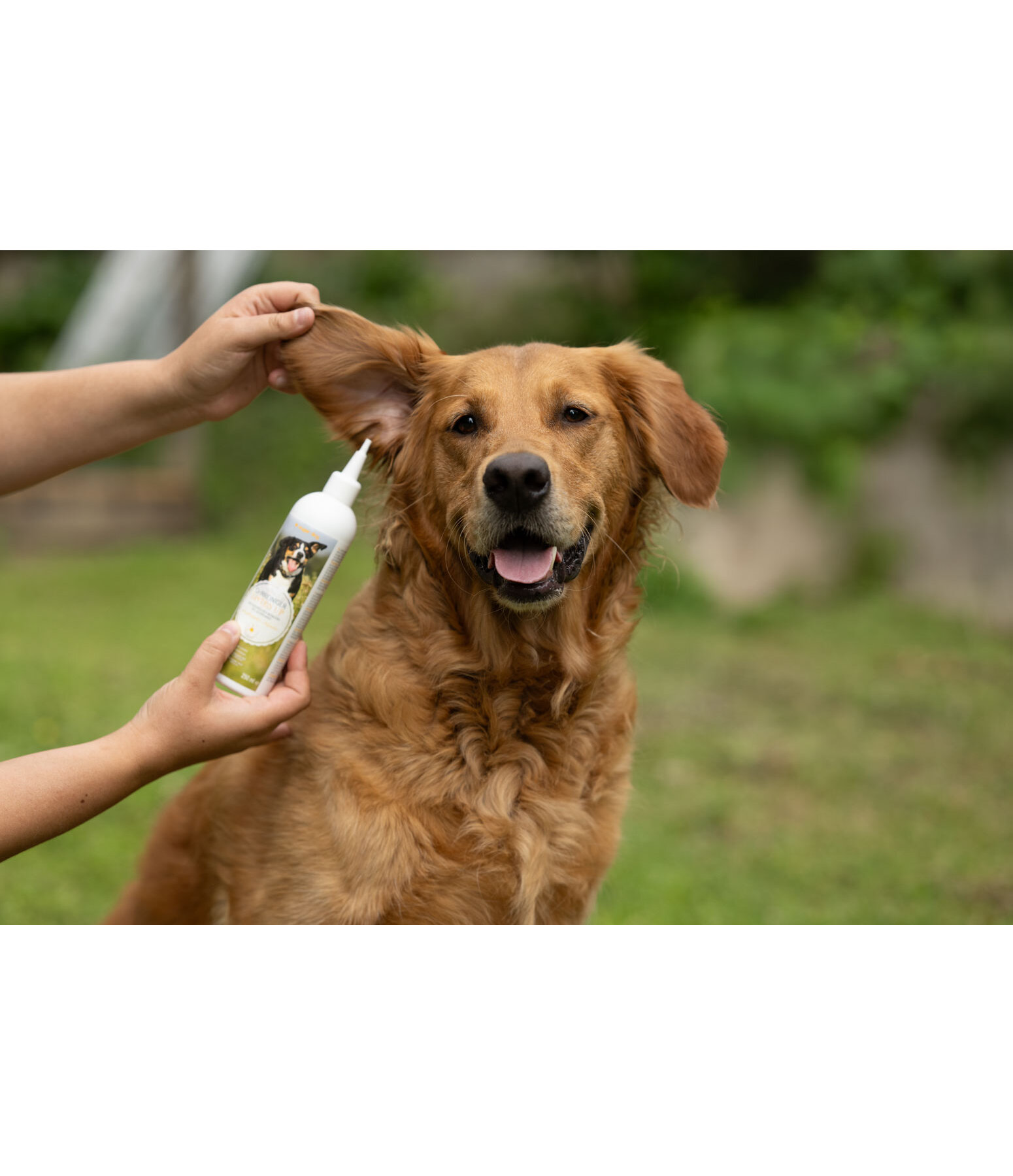 Dog Ear Cleaner Listen Up