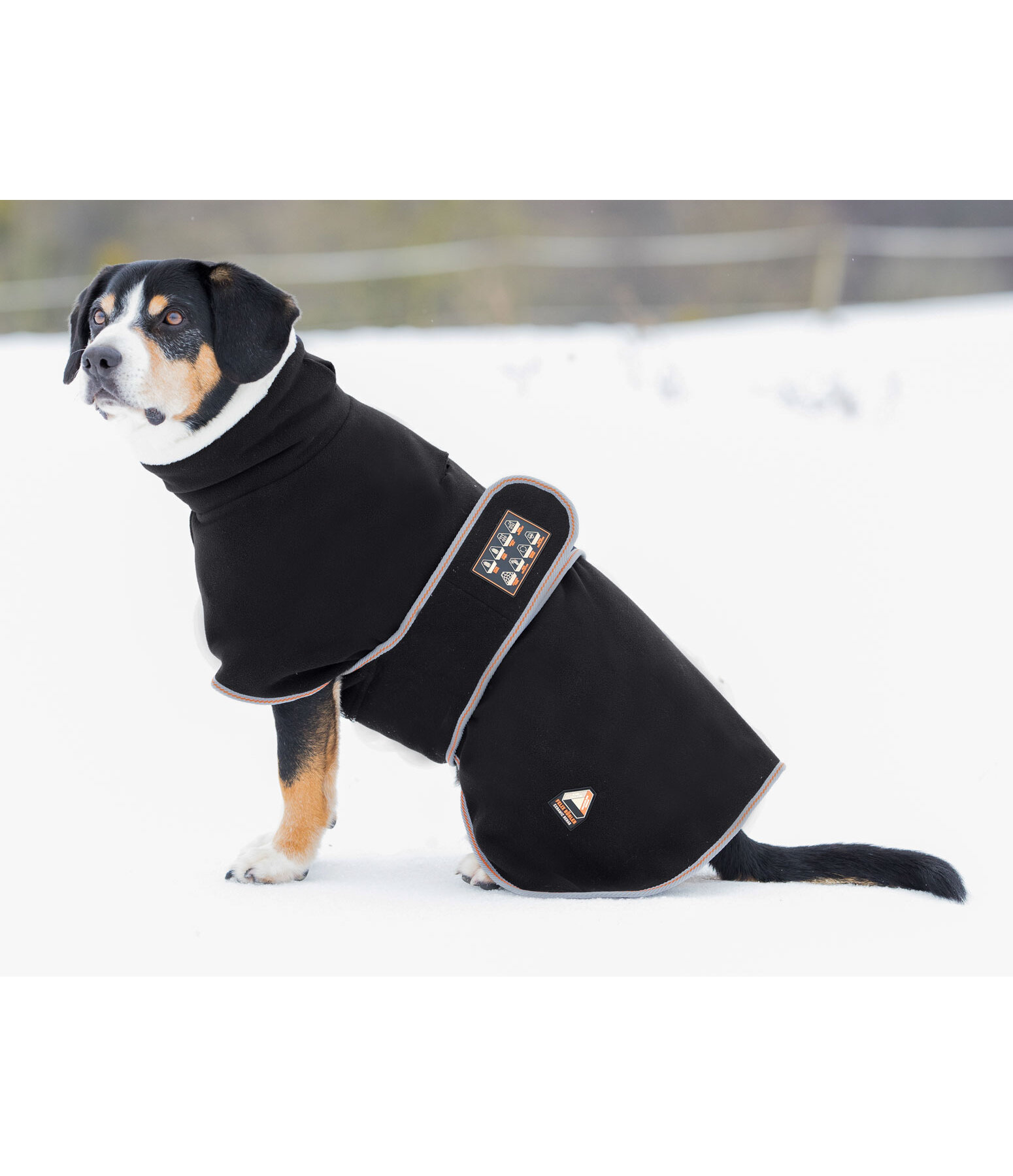 Fleece Dog Coat Ceramic Rehab