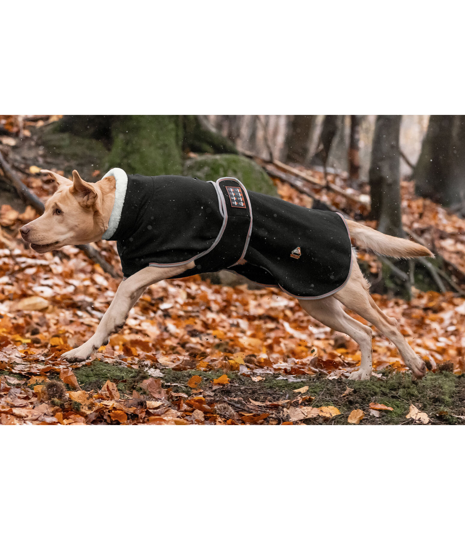 Fleece Dog Coat Ceramic Rehab