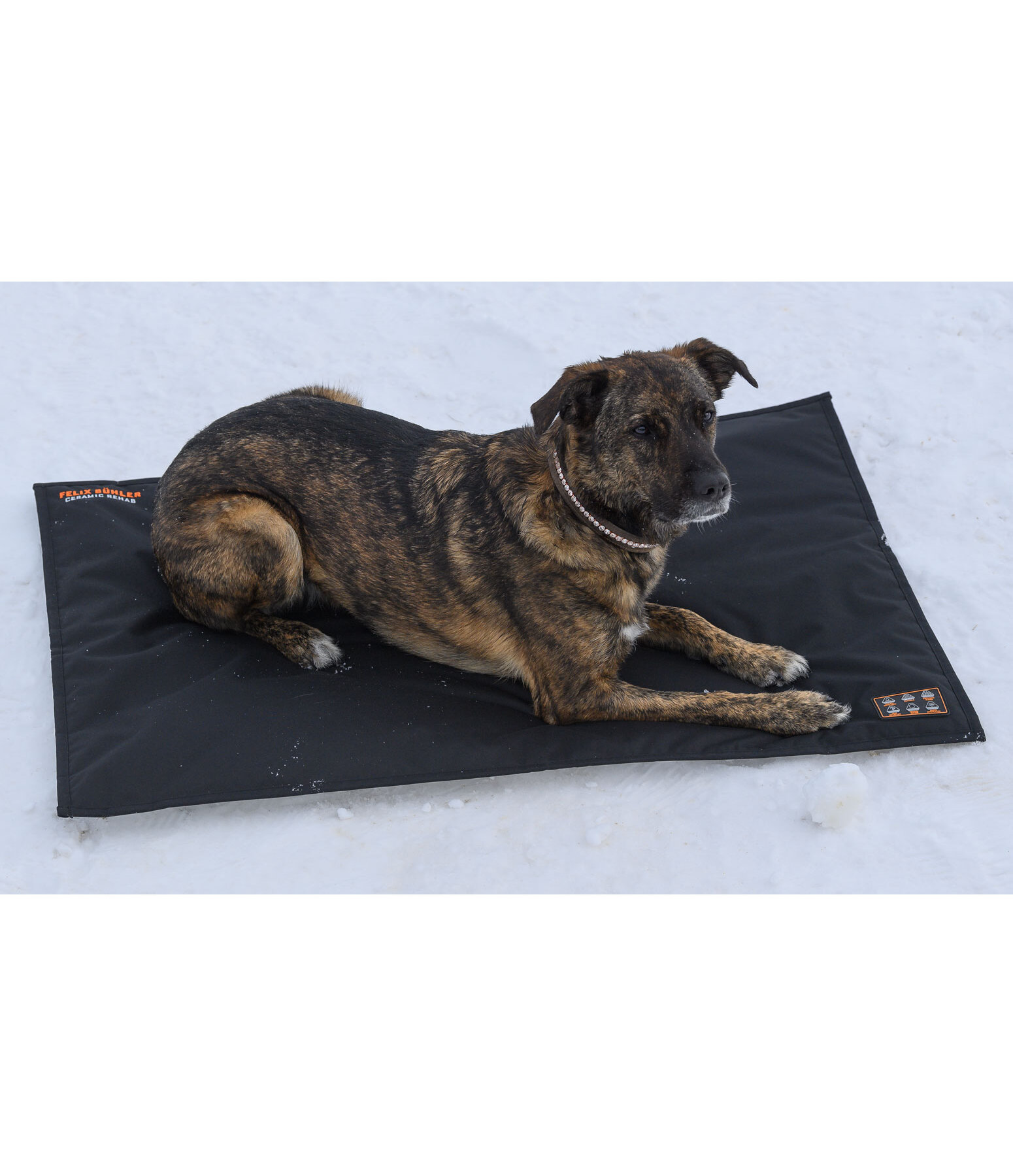 Thermal Dog Blanket Ceramic Rehab