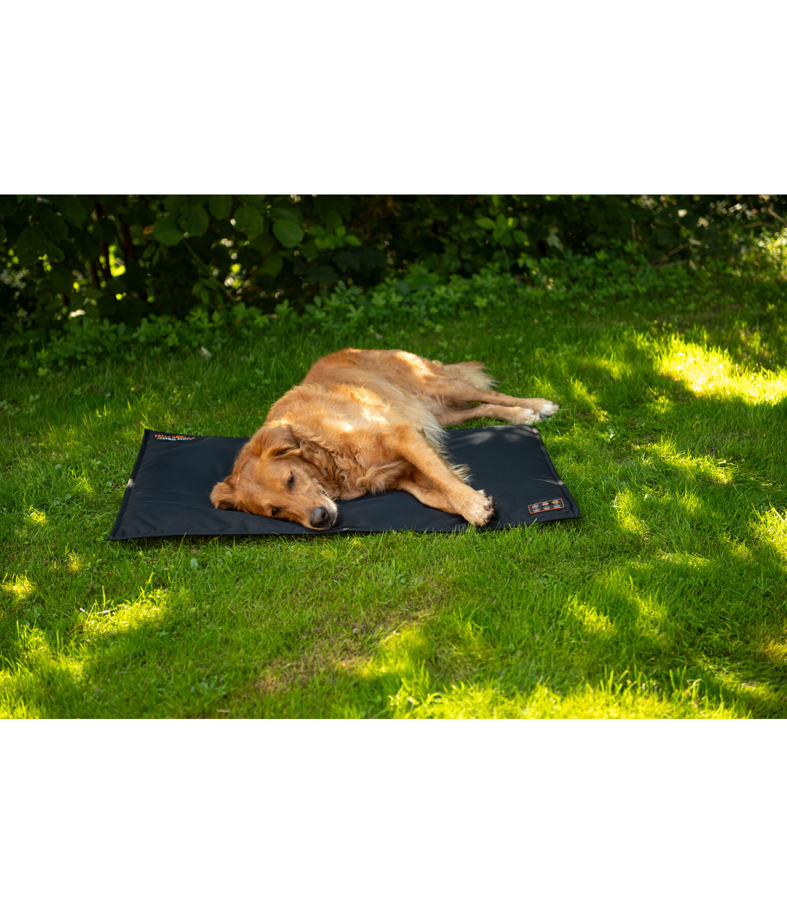 Thermal Dog Blanket Ceramic Rehab