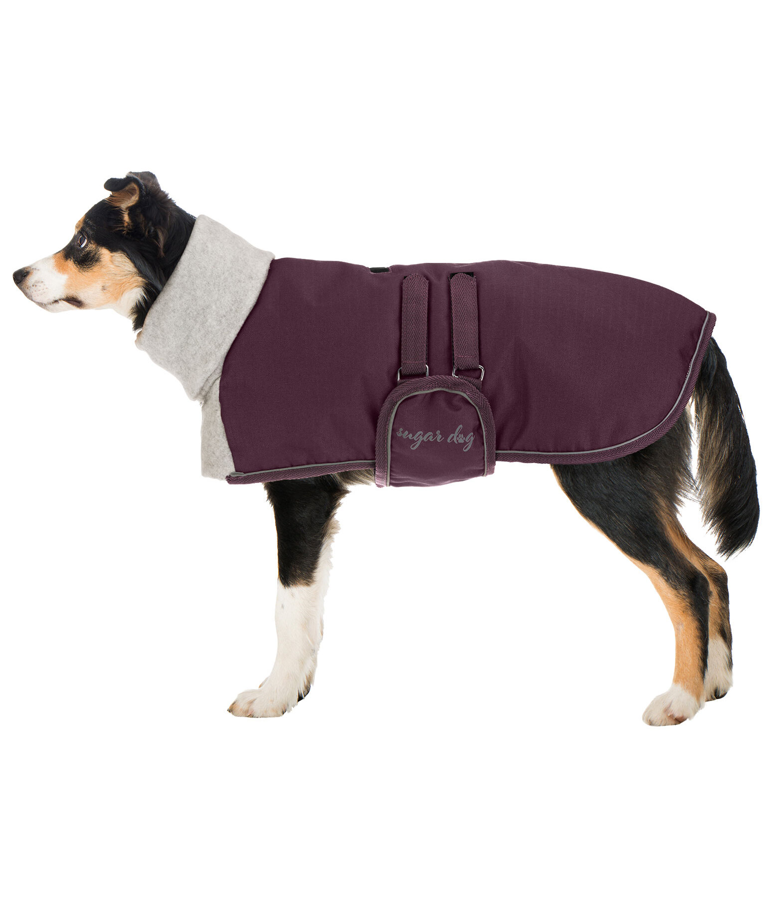 Winter Dog Coat Juniper with Fleece Collar, 200g