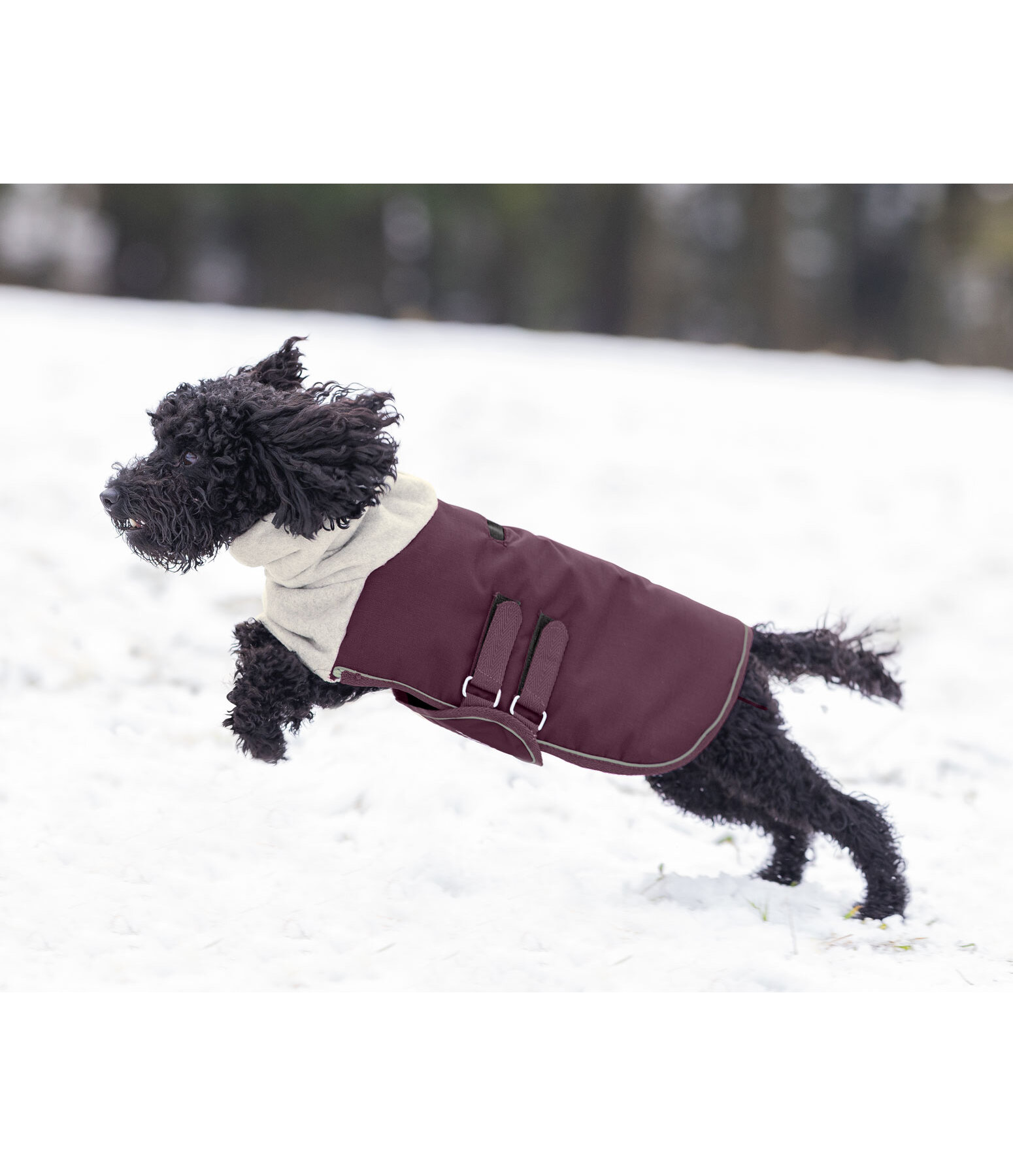 Fleece dog online coats for winter
