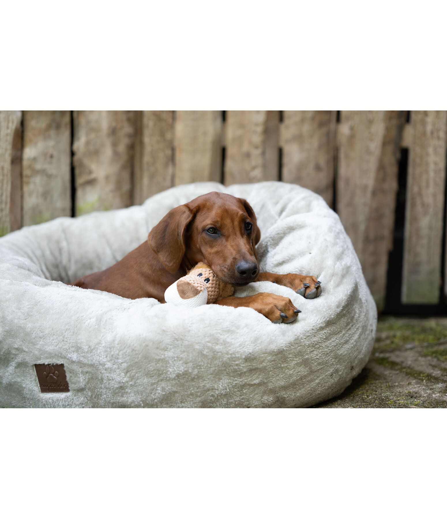 Cuddly Lion Dog Toy Lio