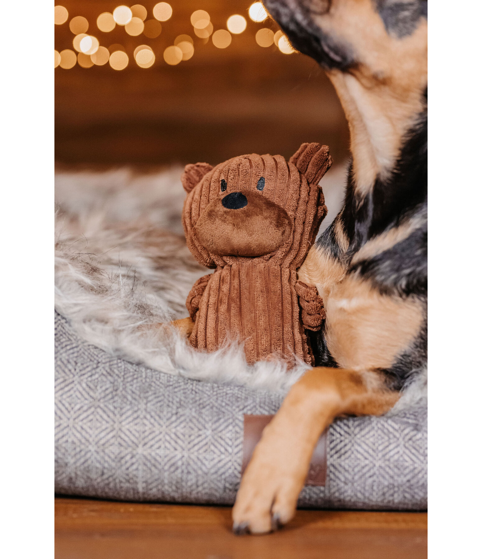 Cuddly Bear Dog Toy Bruno