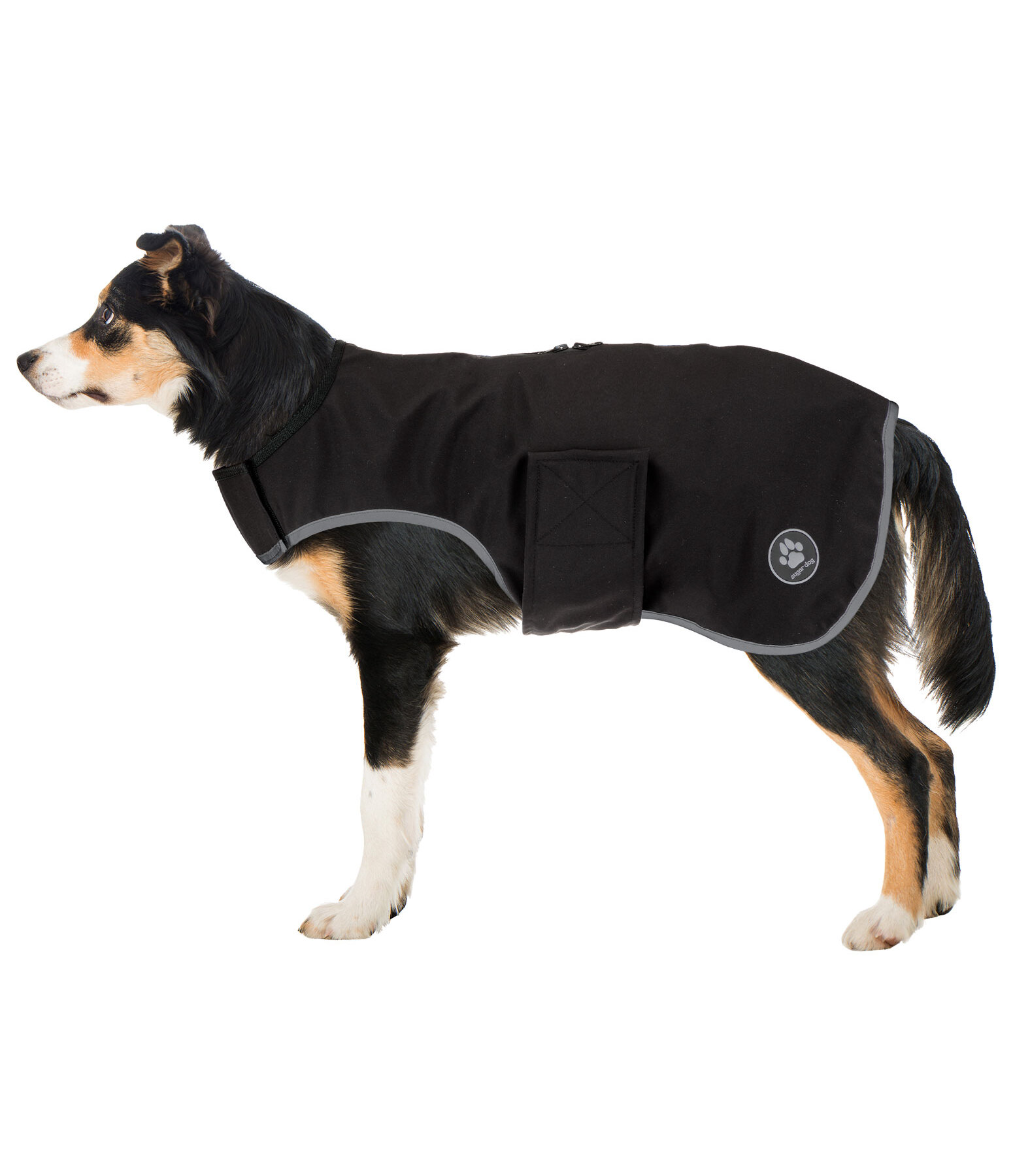 Soft shell dog coat discount
