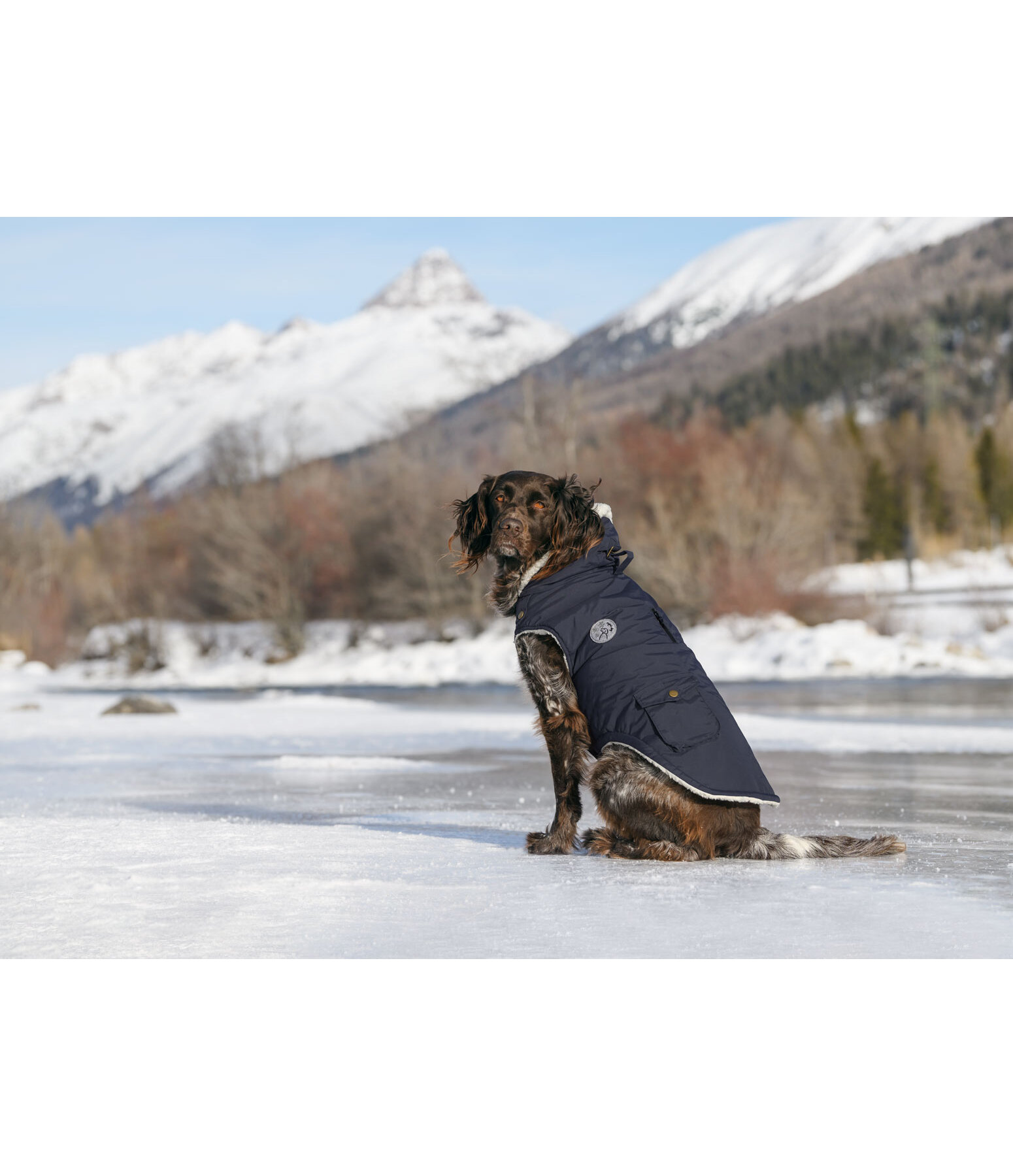 Rain Dog Parka Wilbur with Sherpa Lining, 60g