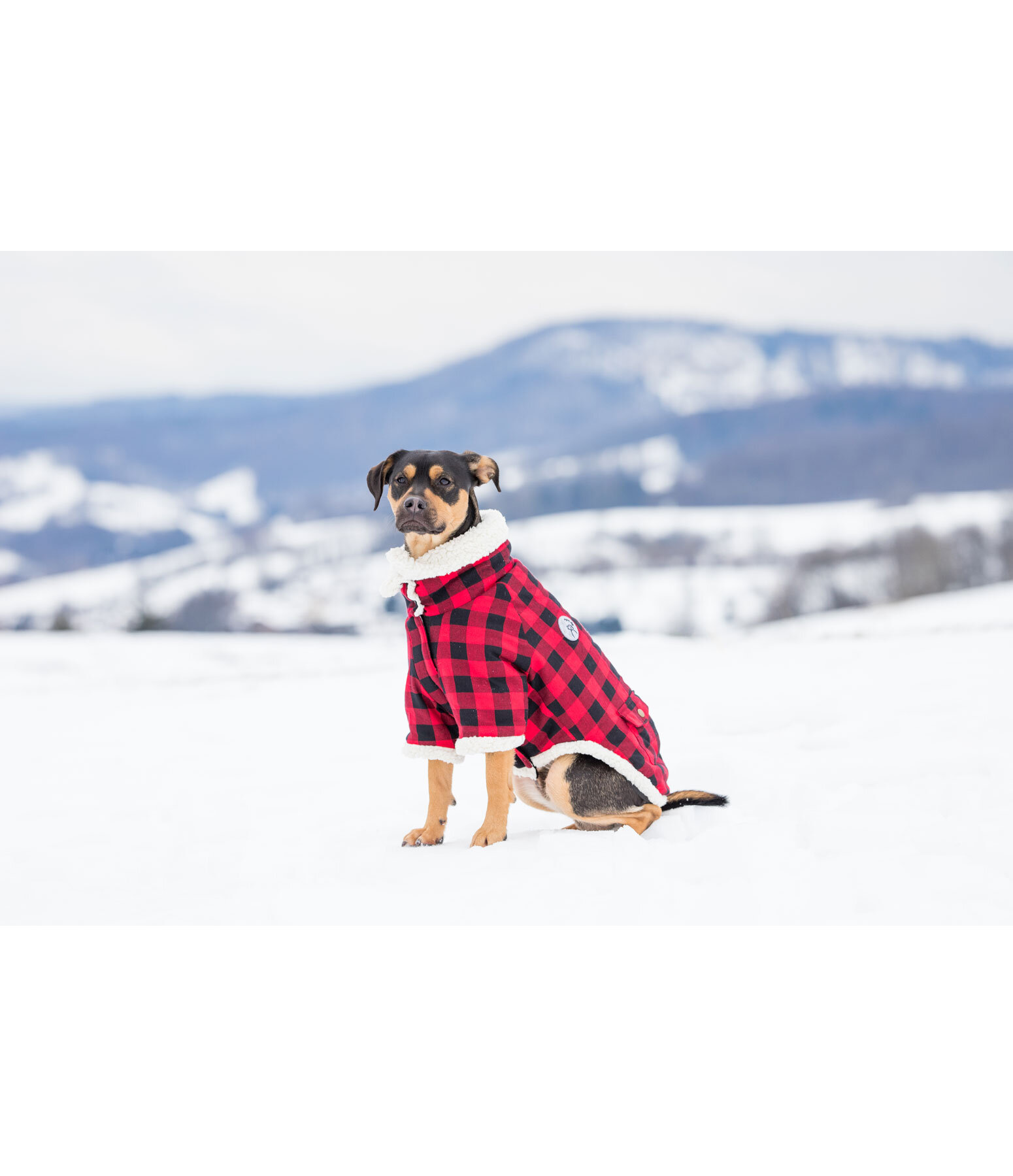 Flannel Dog Coat with Sherpa Lining Emmet