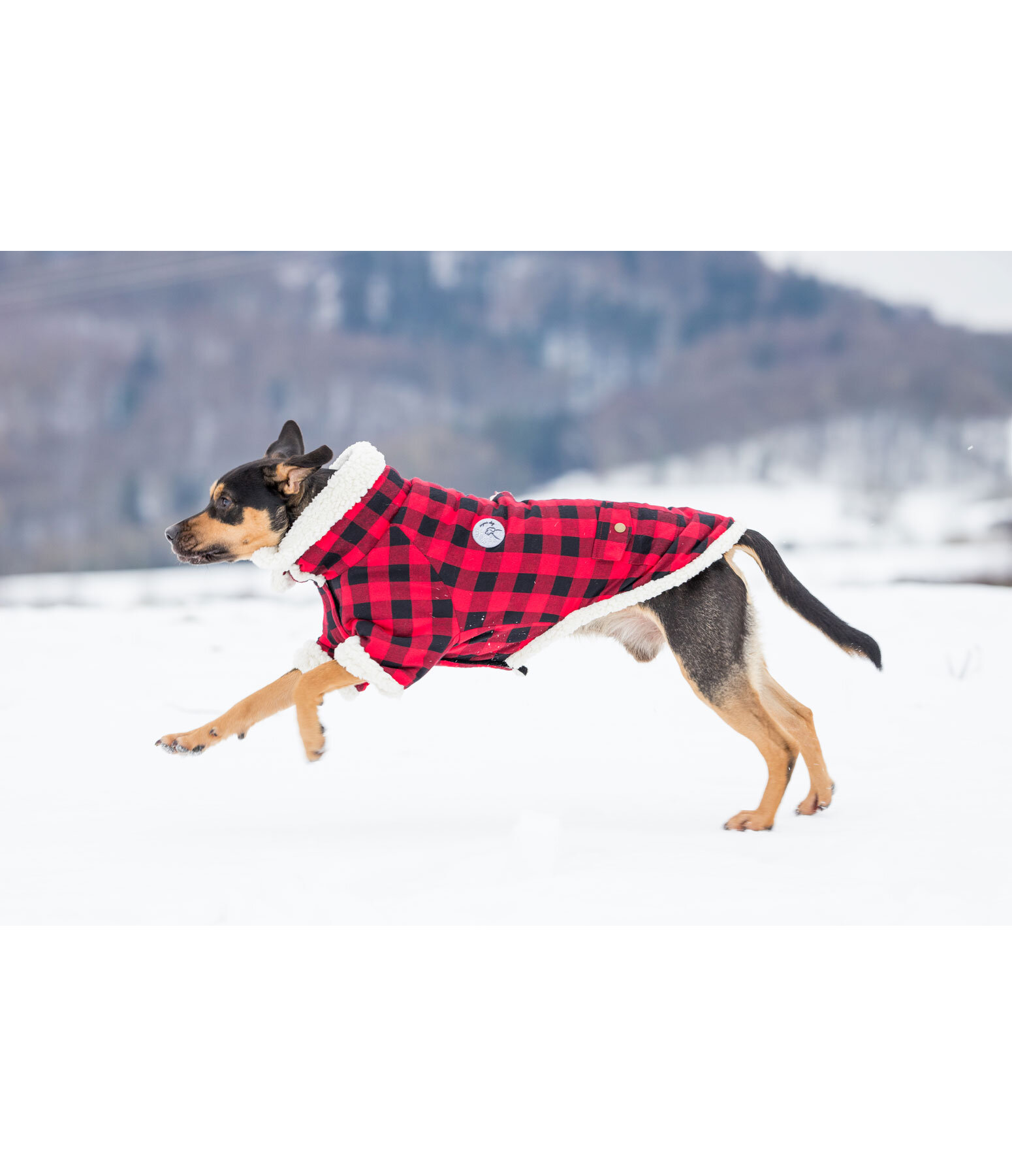 Flannel Dog Coat with Sherpa Lining Emmet